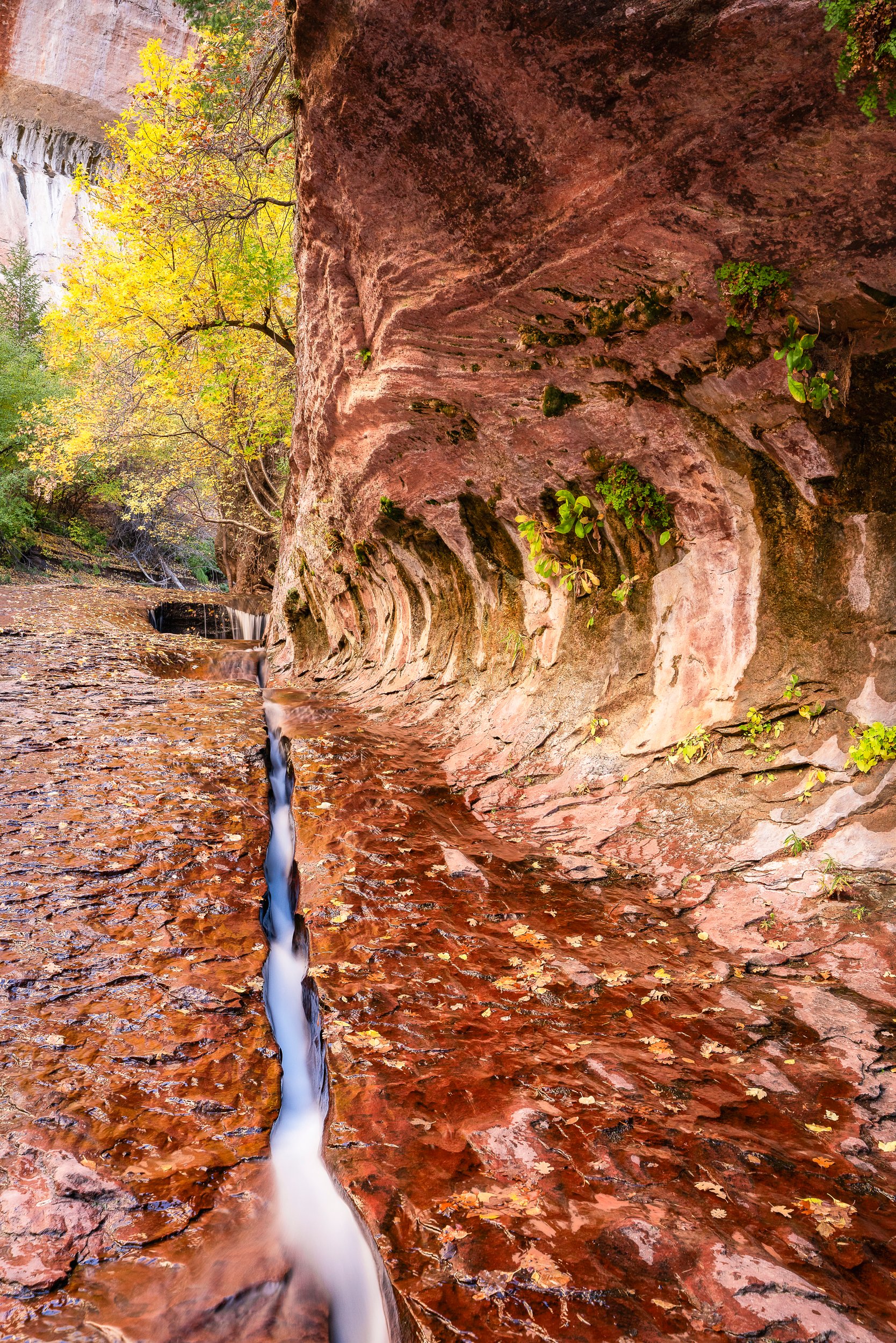Formed by Water by ZCC Photography