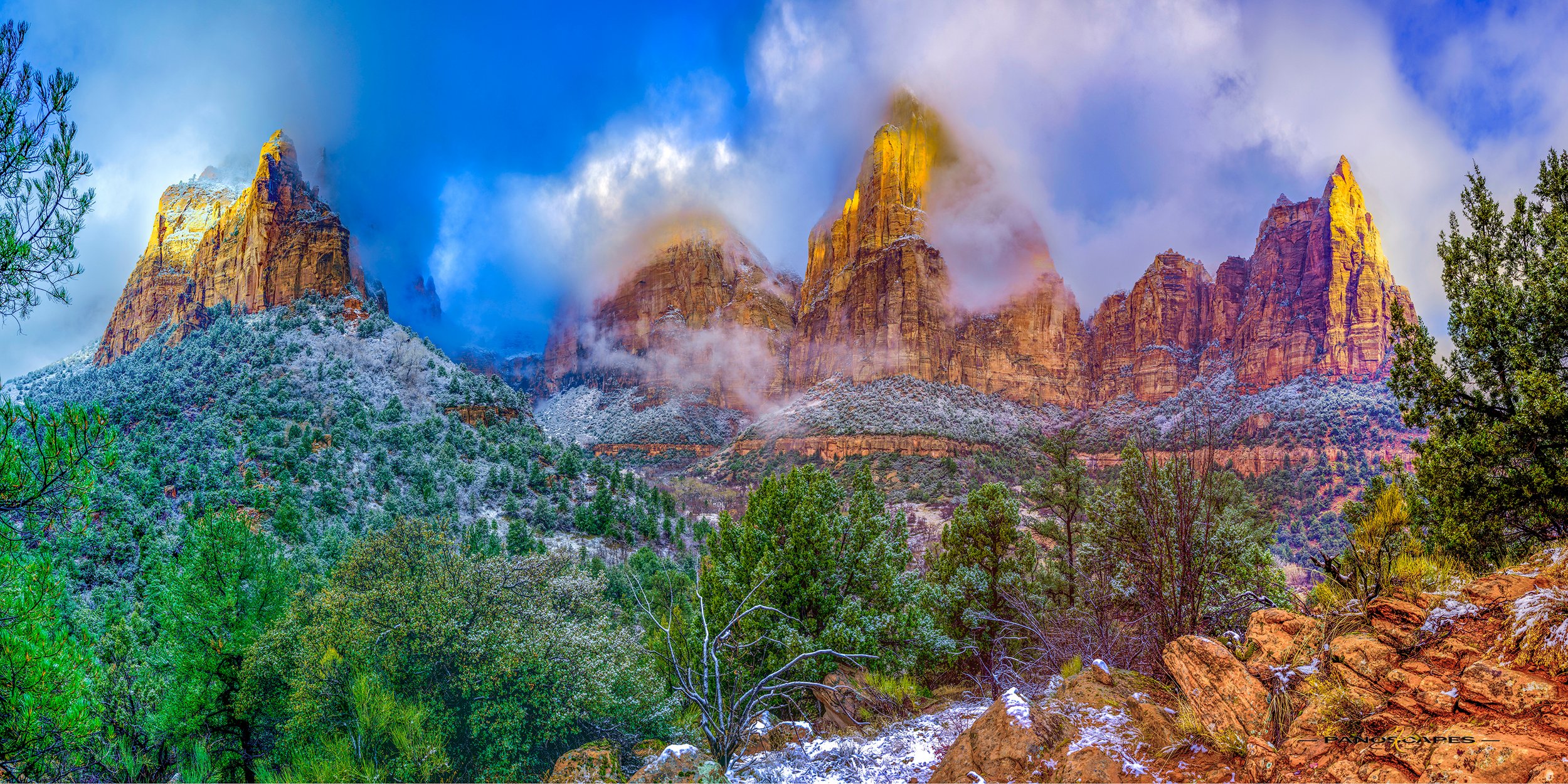 winter morning in zion by Edwin R Schottstaedt 
