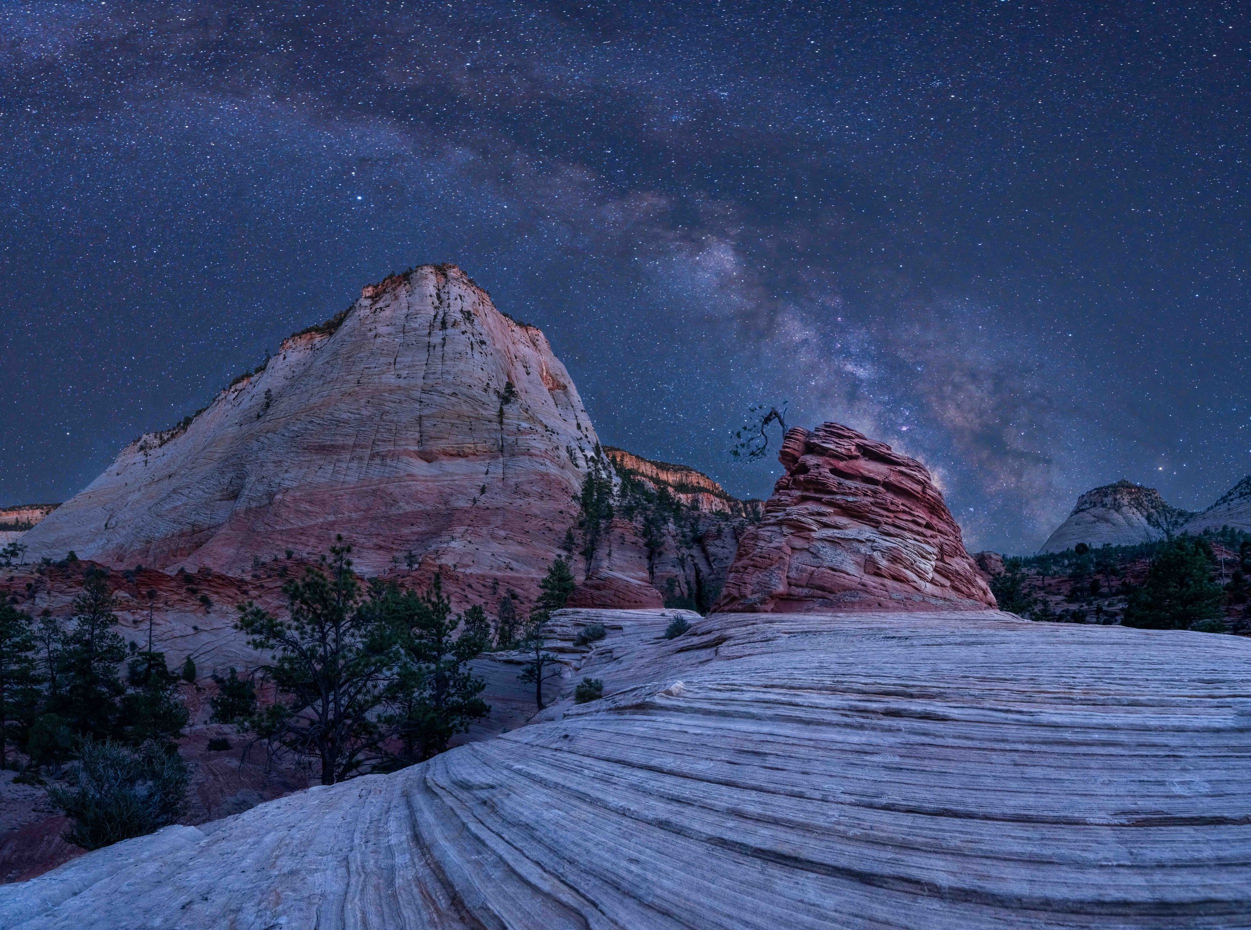 Milky Way over the Hanging Tree by ZCC Photography