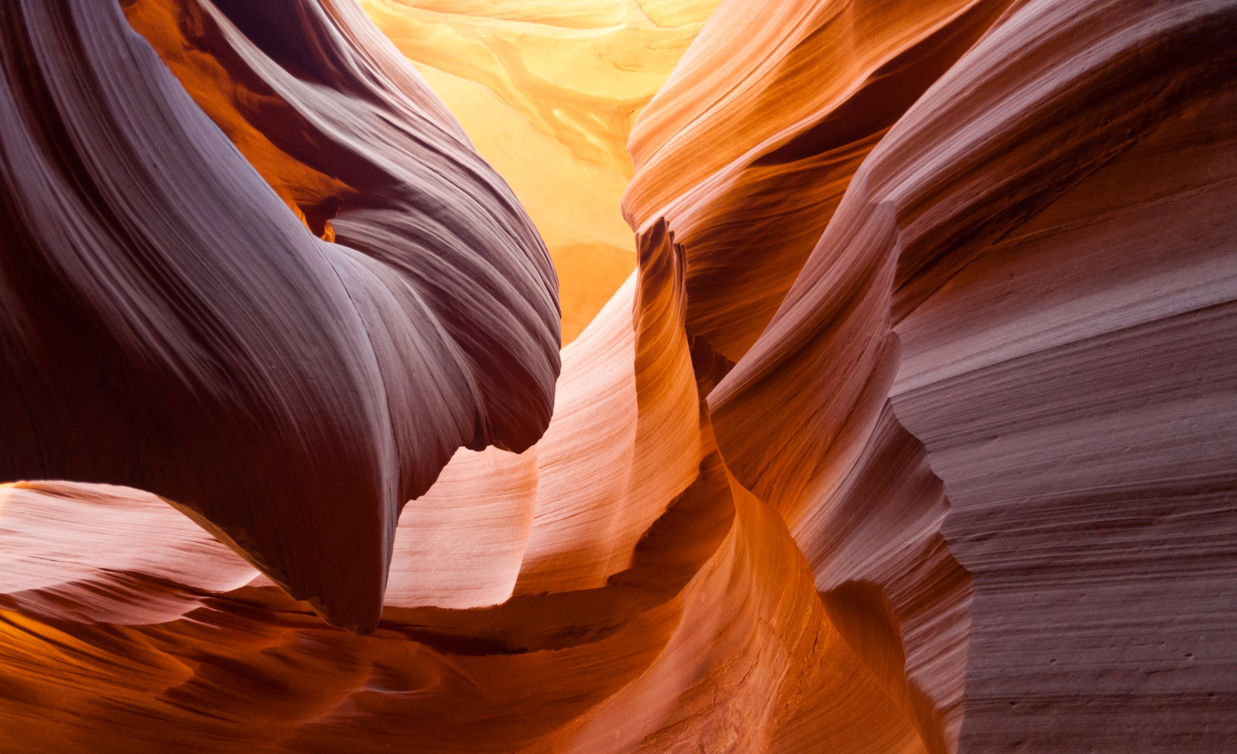 Serrated by Utah Print Vault