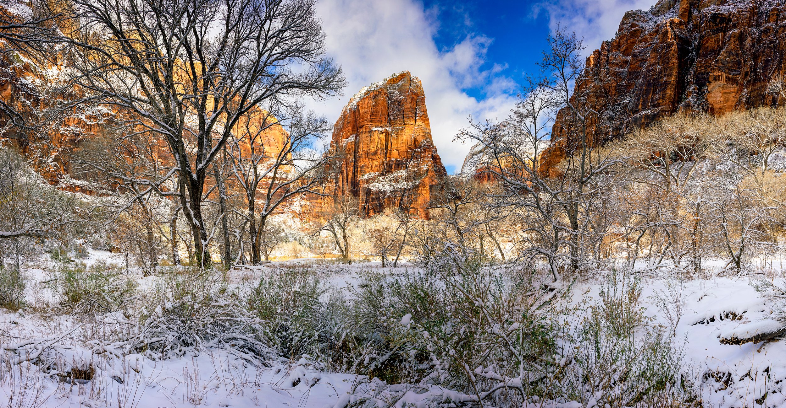 winter in zion by Edwin R Schottstaedt 