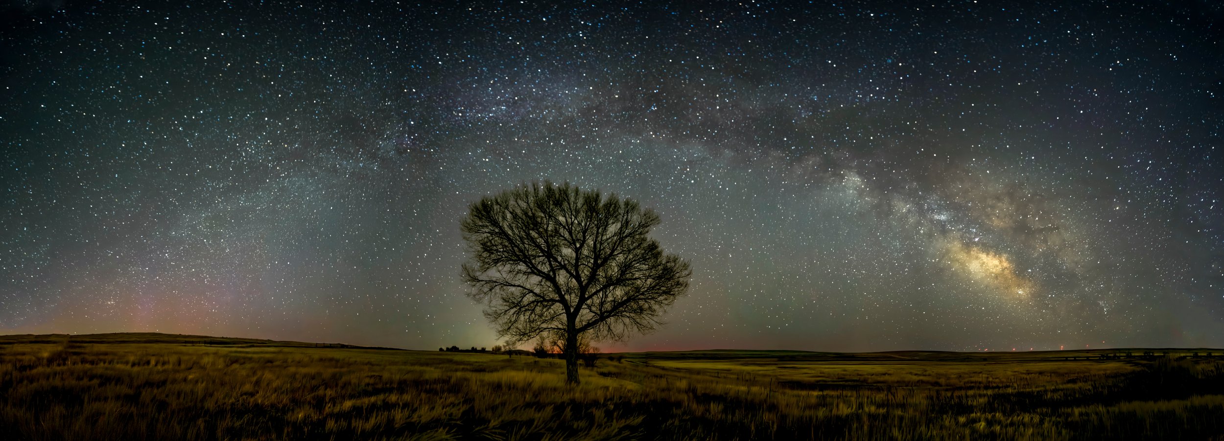 Milky Way Tree Pano by Bob Coorsen Photography