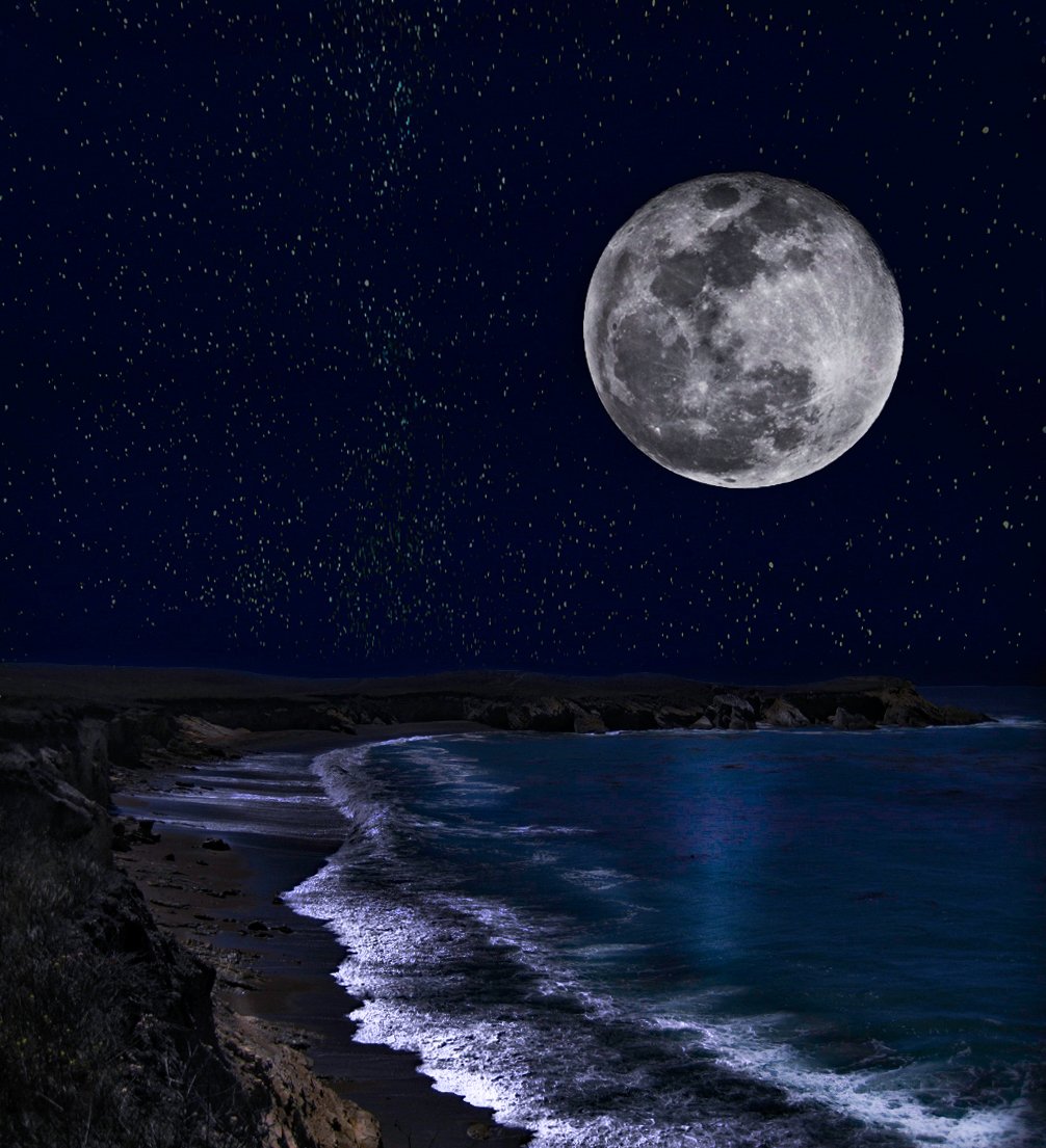 Beach, Stars,Moon by Lar's Photos