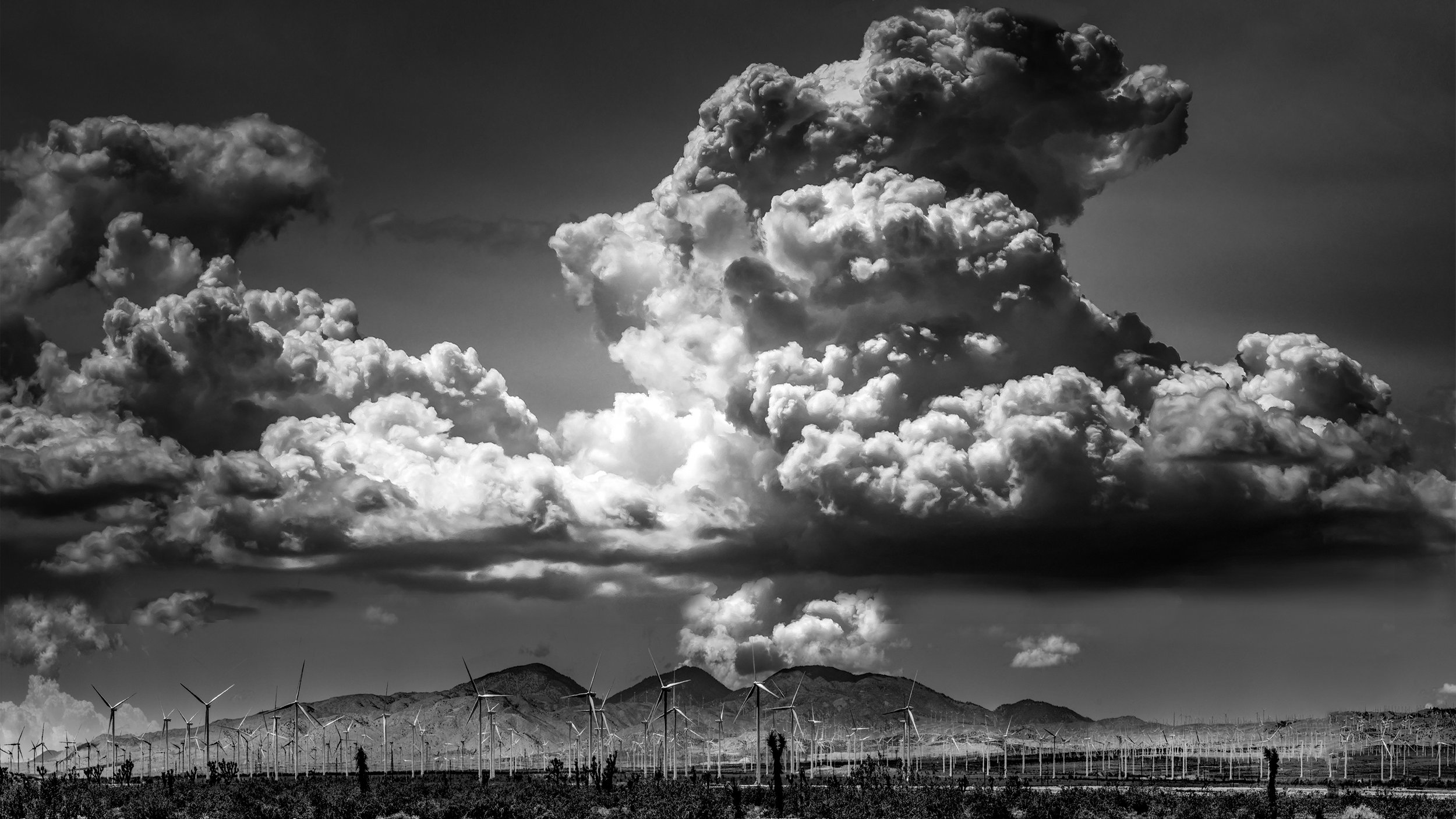 Fine art windmills by Lar's Photos