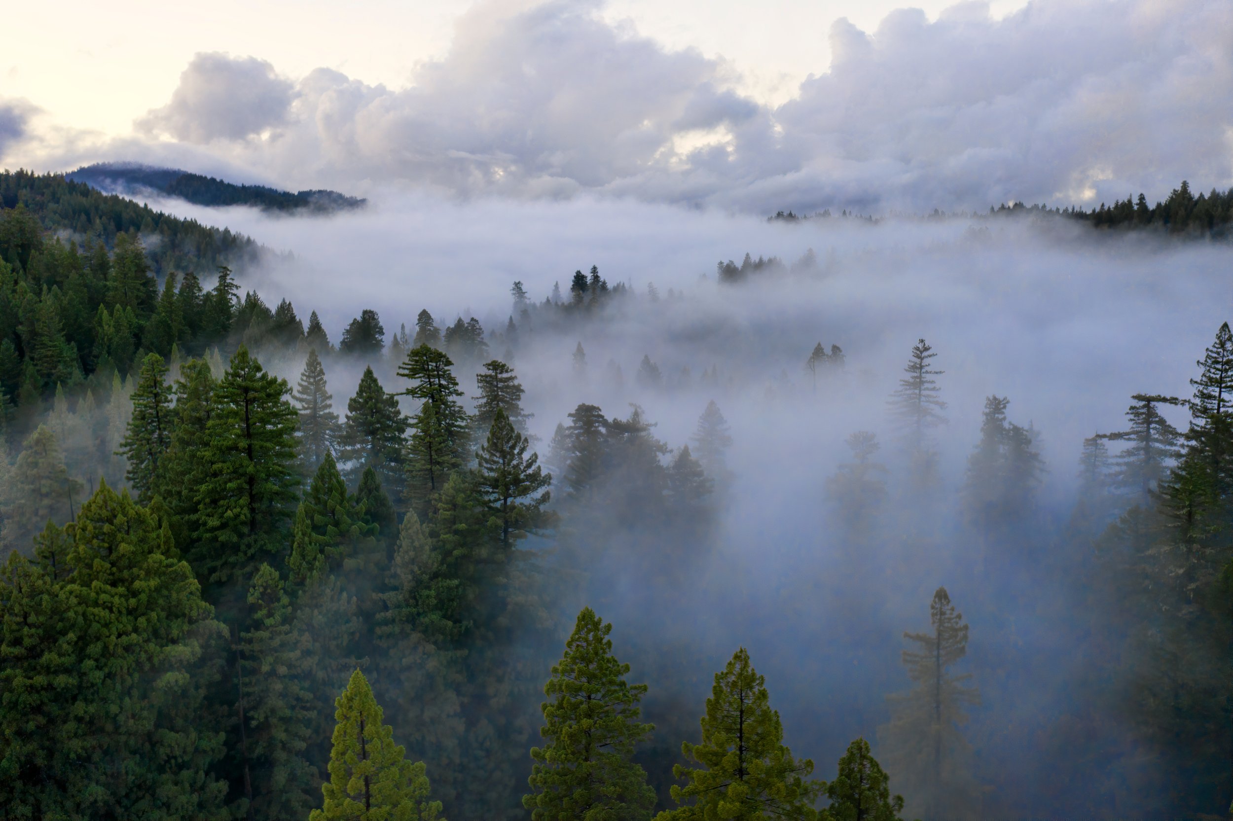 Fog in Valley by Utah Print Vault