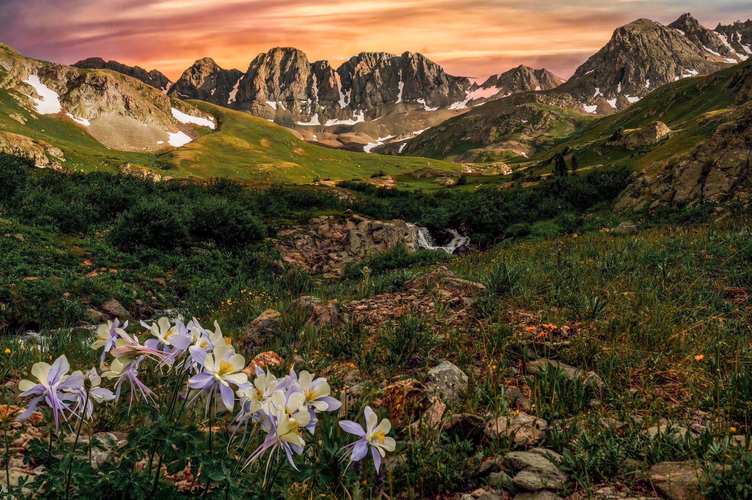 American Basin Columbine Sunset 1 Edit Edit by Bob Coorsen Photography