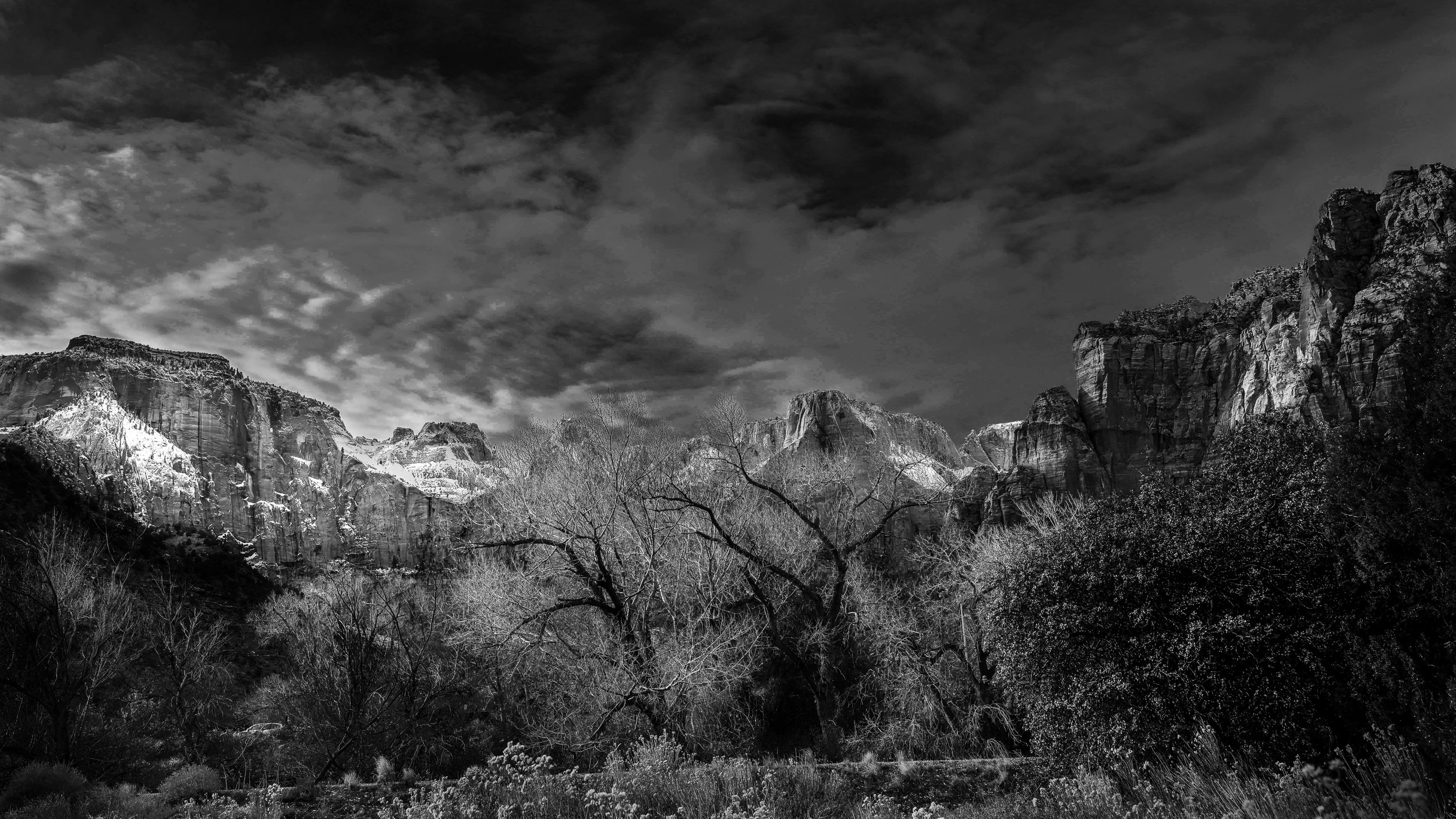 zion8 bw by Lar's Photos