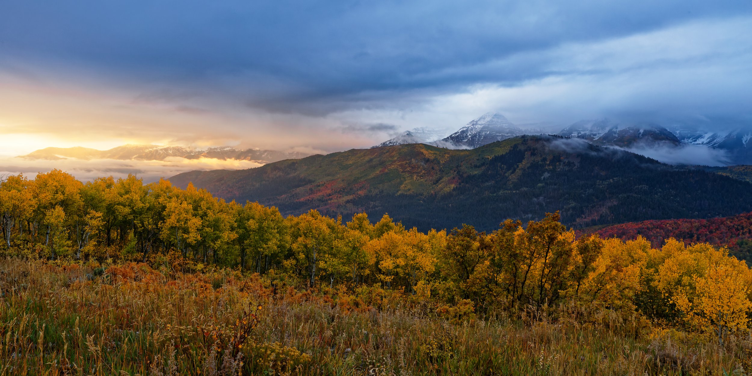 Wasatch Golden Horizons by Taylor Ehat Photography