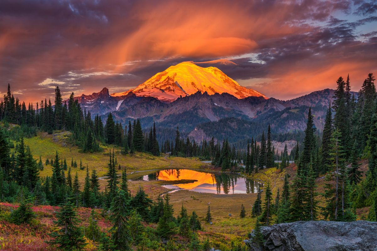 AdobeStock_421319888
