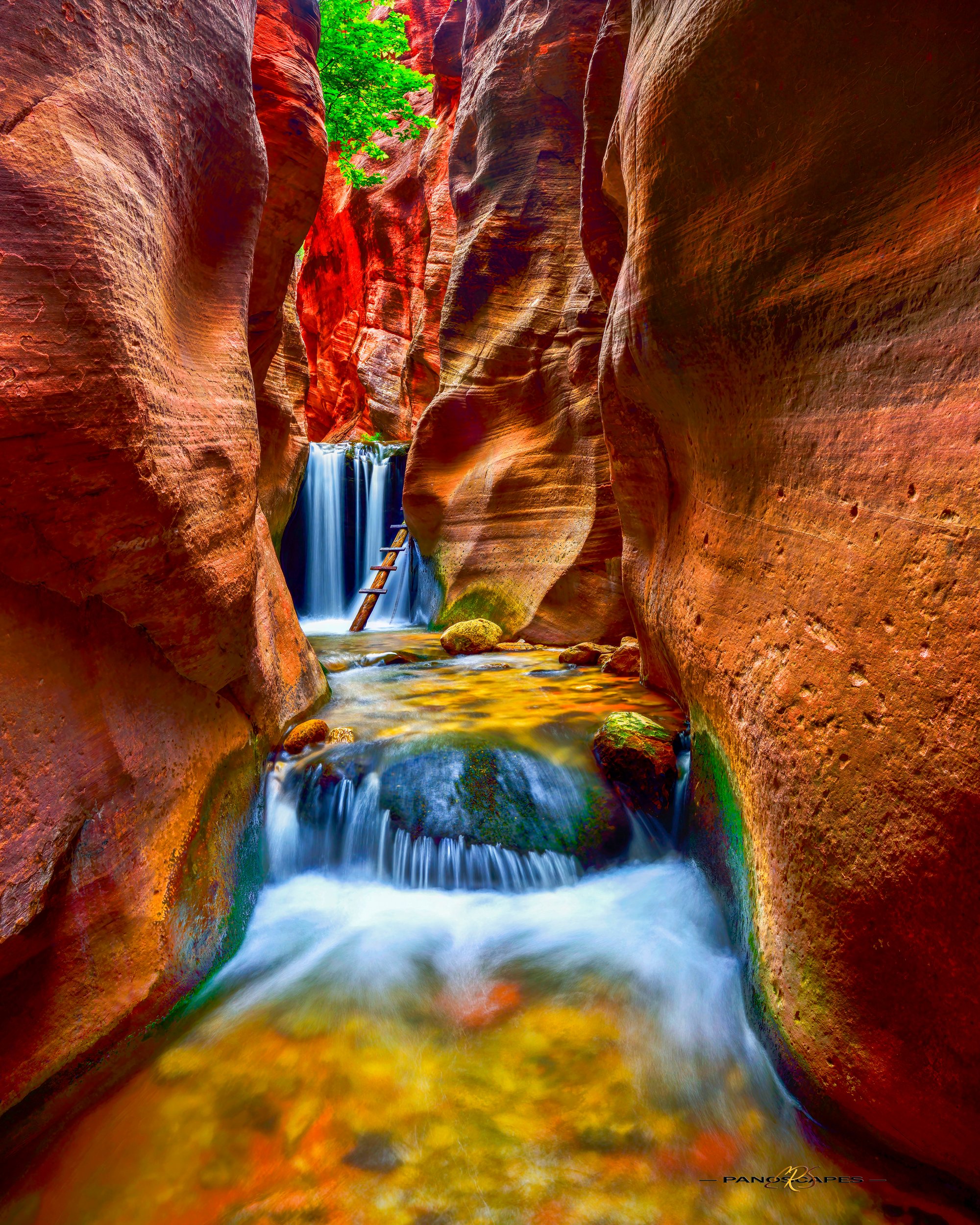 Kanarra Falls by Edwin R Schottstaedt 