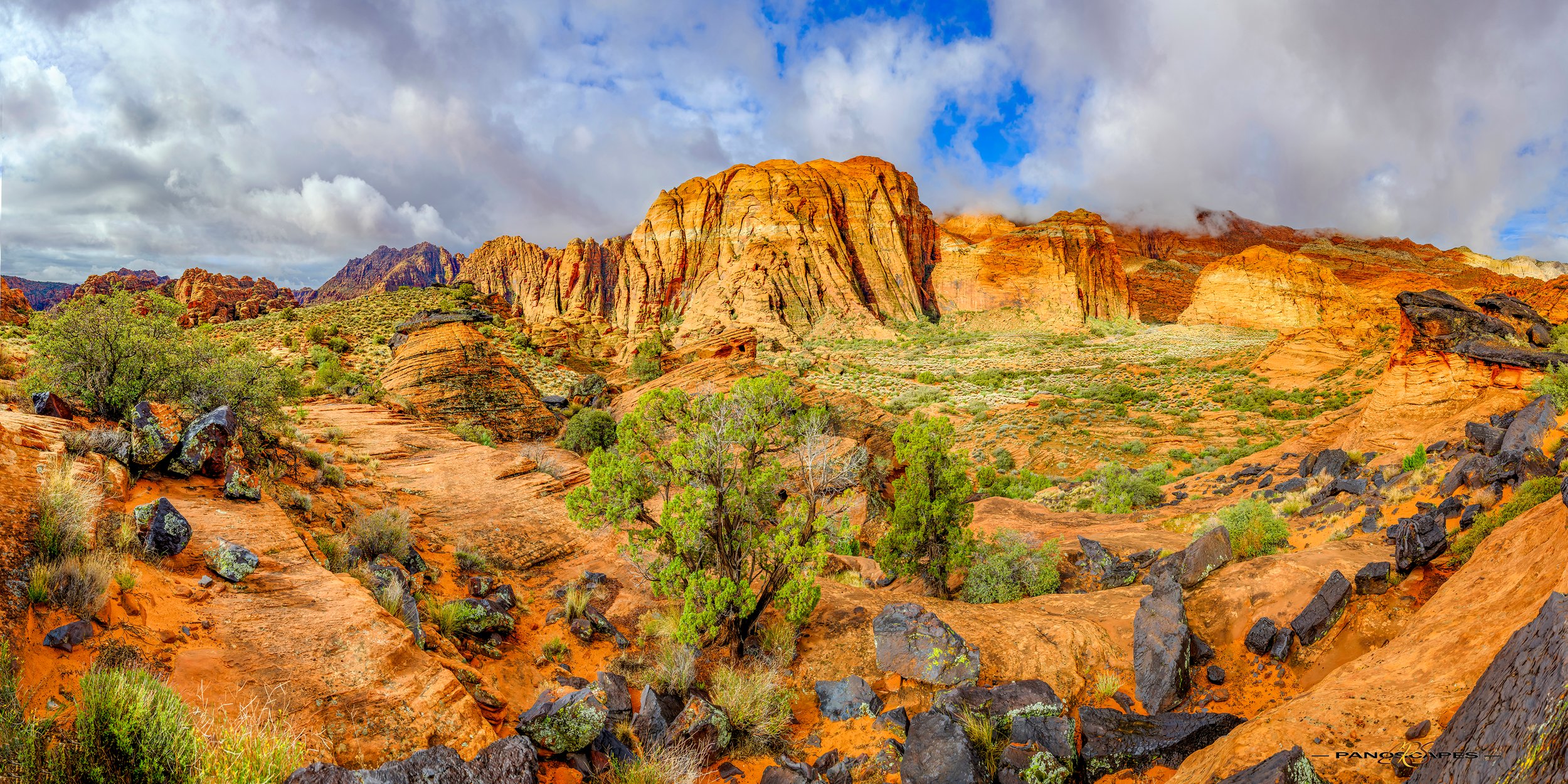 Snow Canyon Juniper and Lava Rocks by Edwin R Schottstaedt 