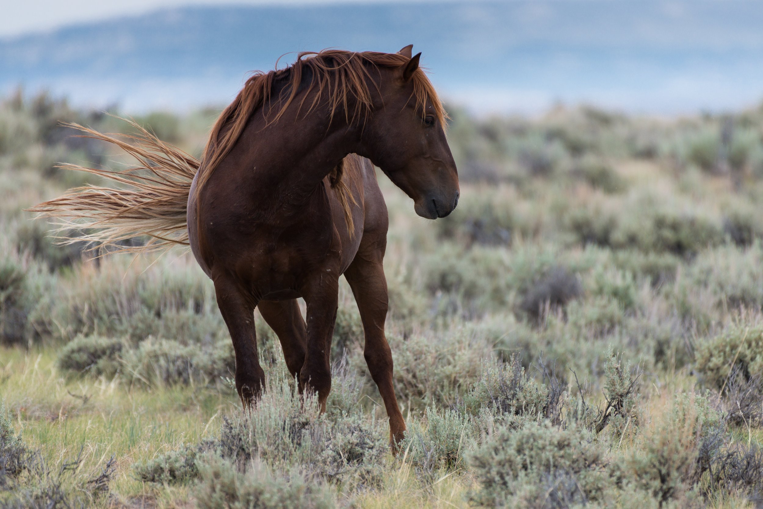 Tecate by Clay Cammack Photography