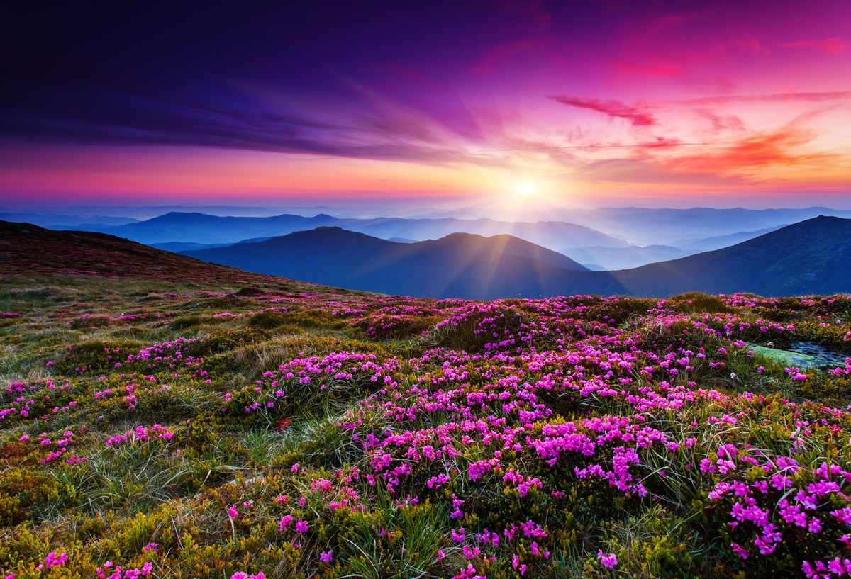 AdobeStock_49545683