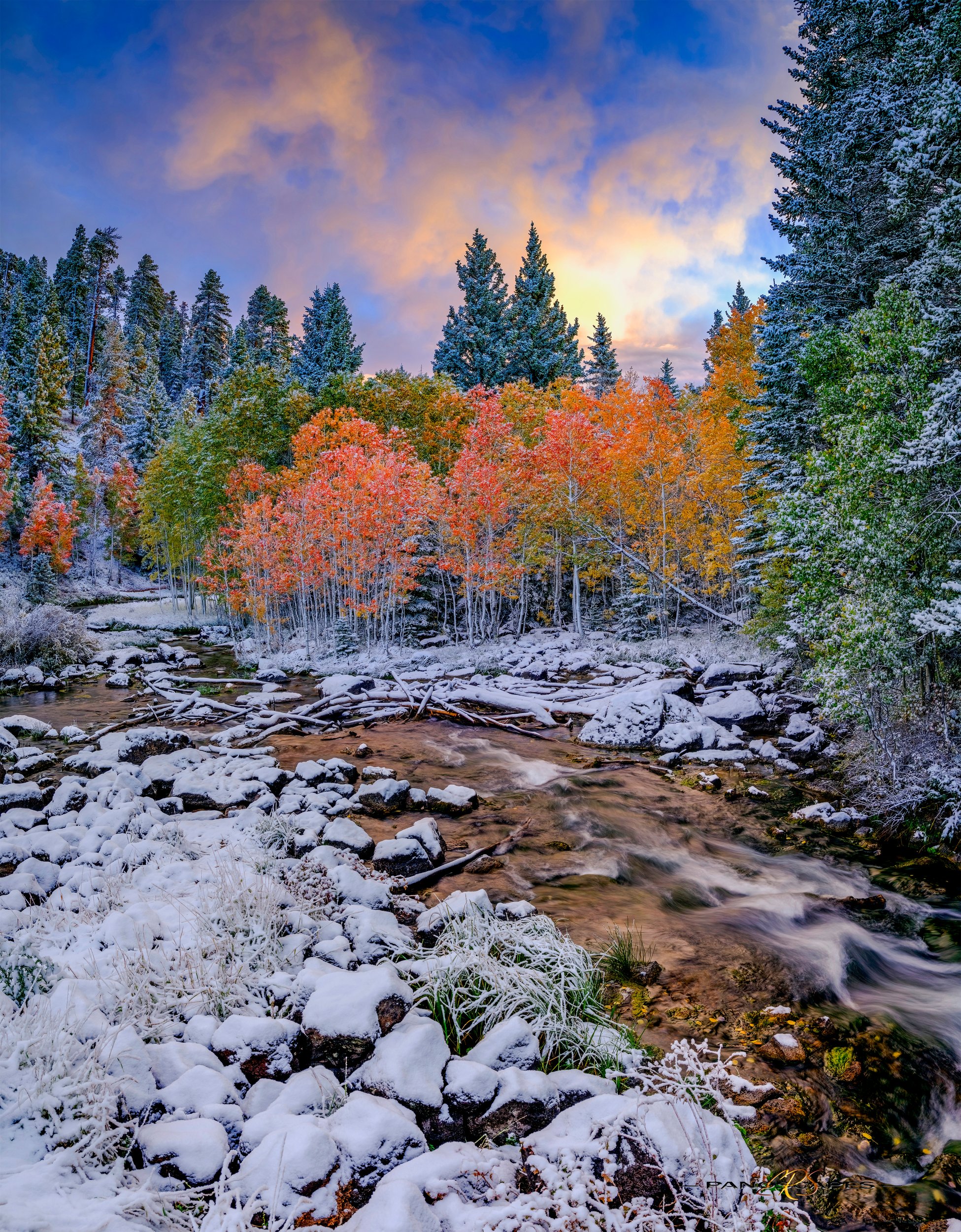 Sunrise Over Snowy Aspens and Mirror Lake by Edwin R Schottstaedt 