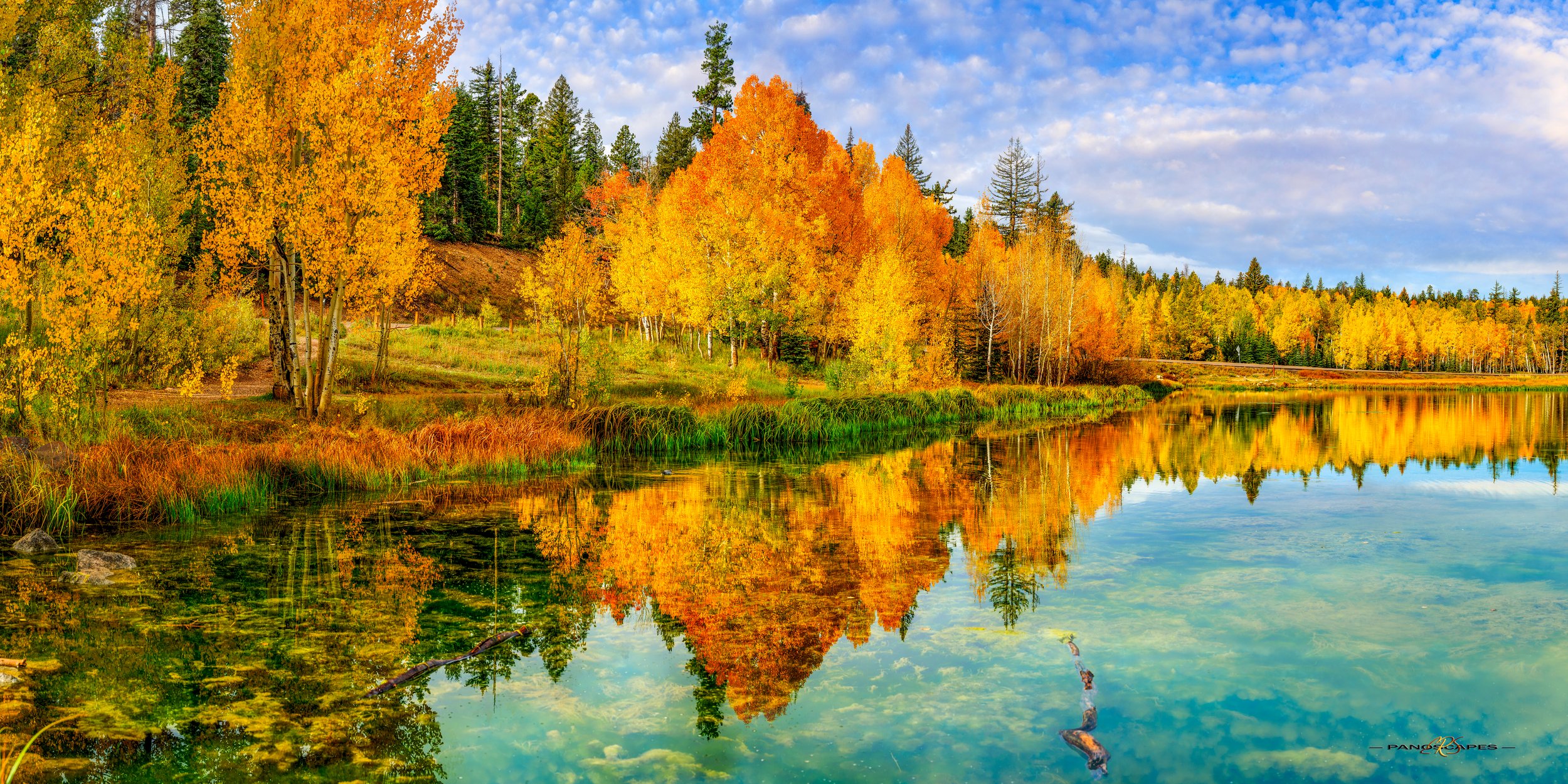 Duck Creek by Edwin R Schottstaedt 