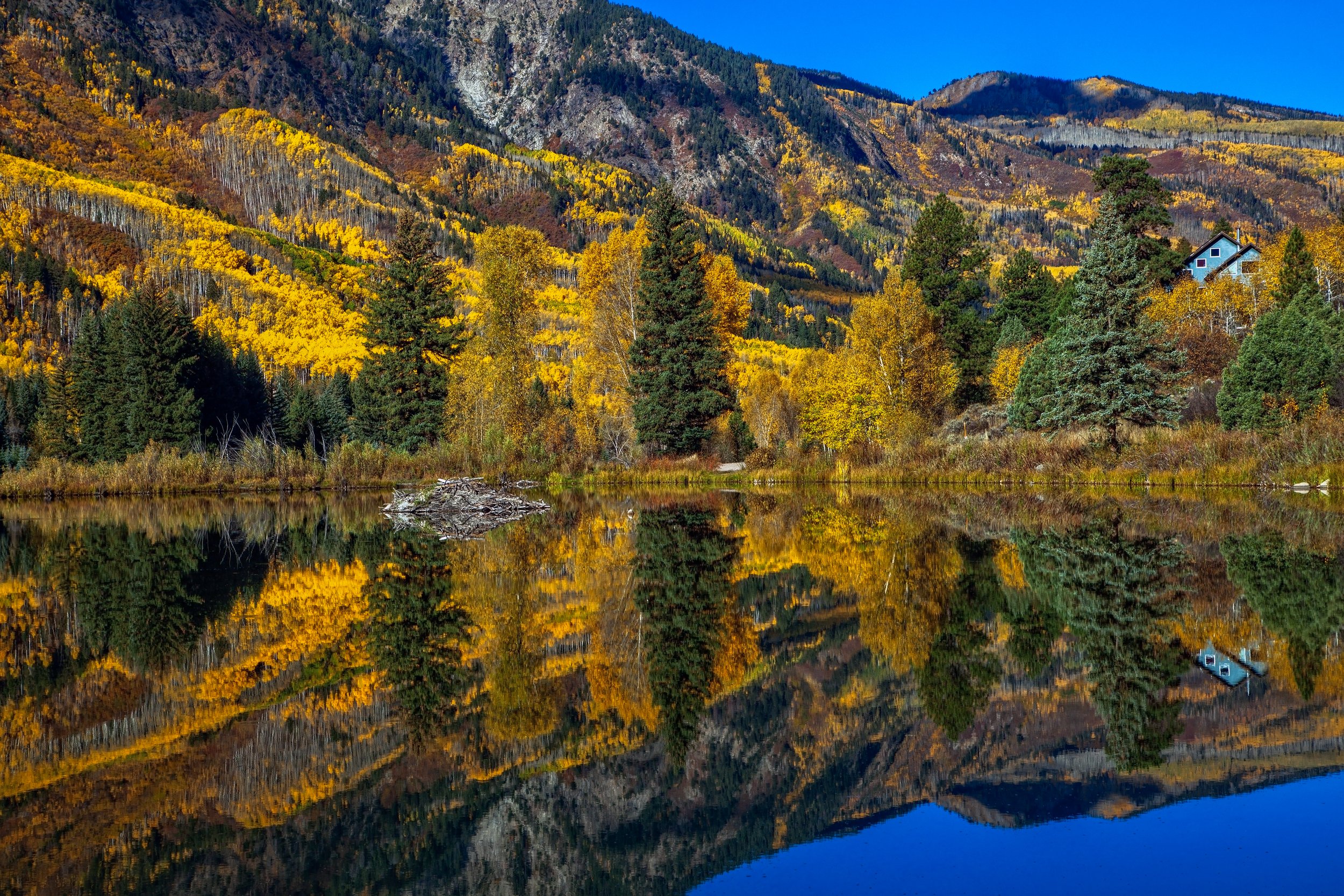 Prefect Spot for a Beaver Dam 1 Edit by Bob Coorsen Photography