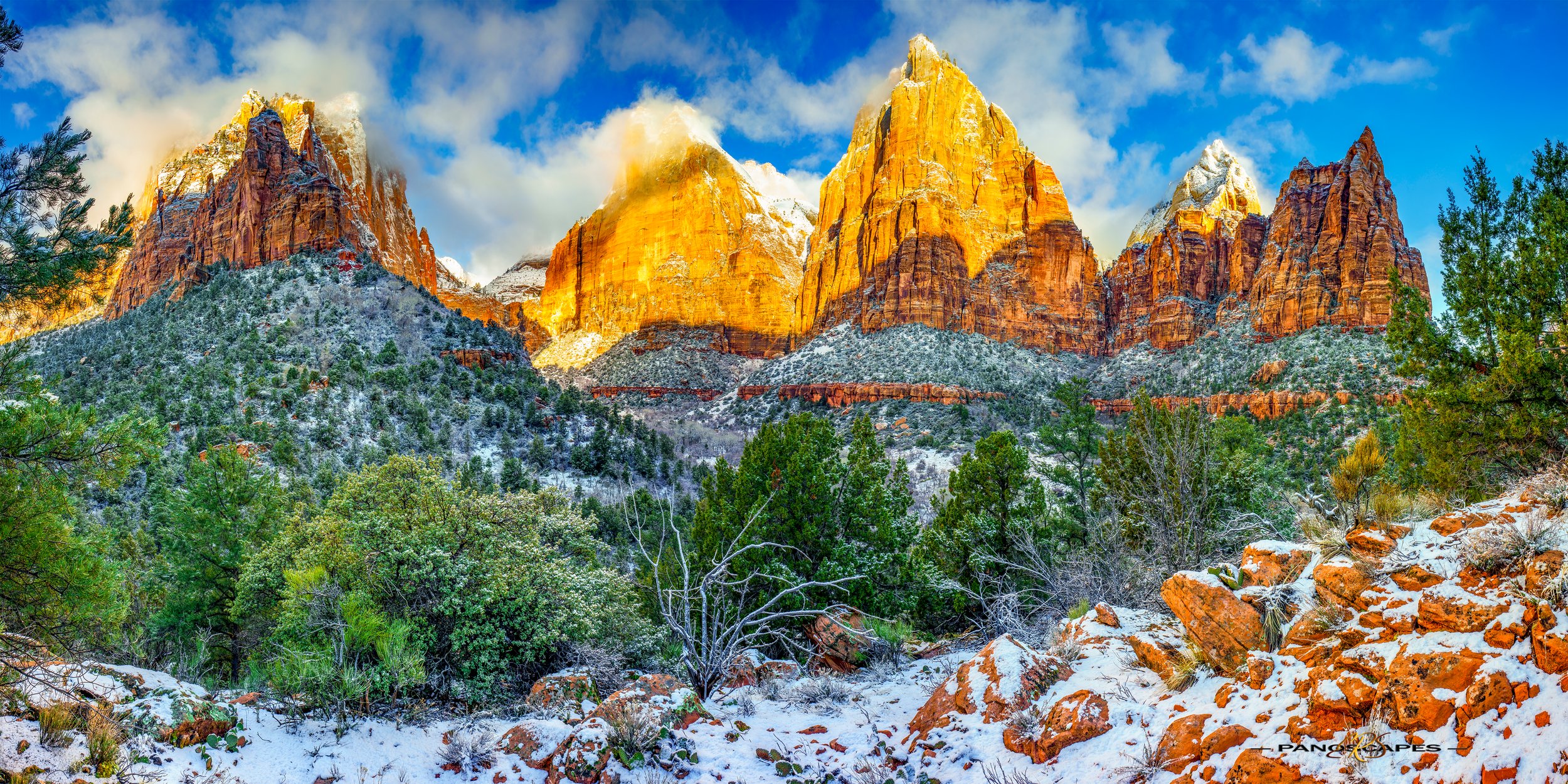 Zion by Edwin R Schottstaedt 