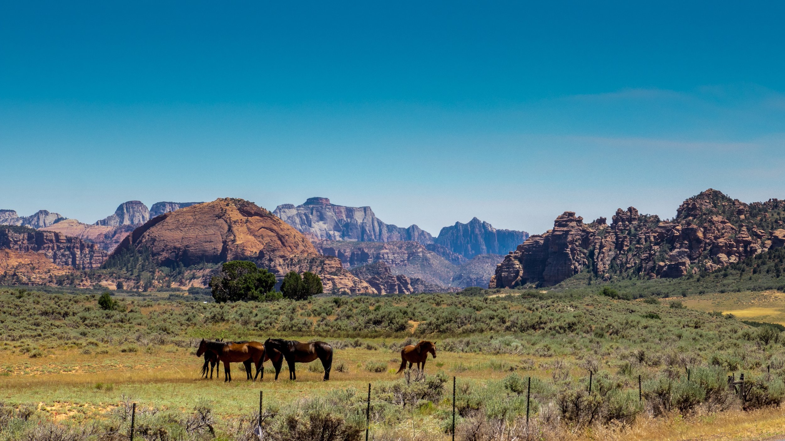 Zion11 west by Lar's Photos