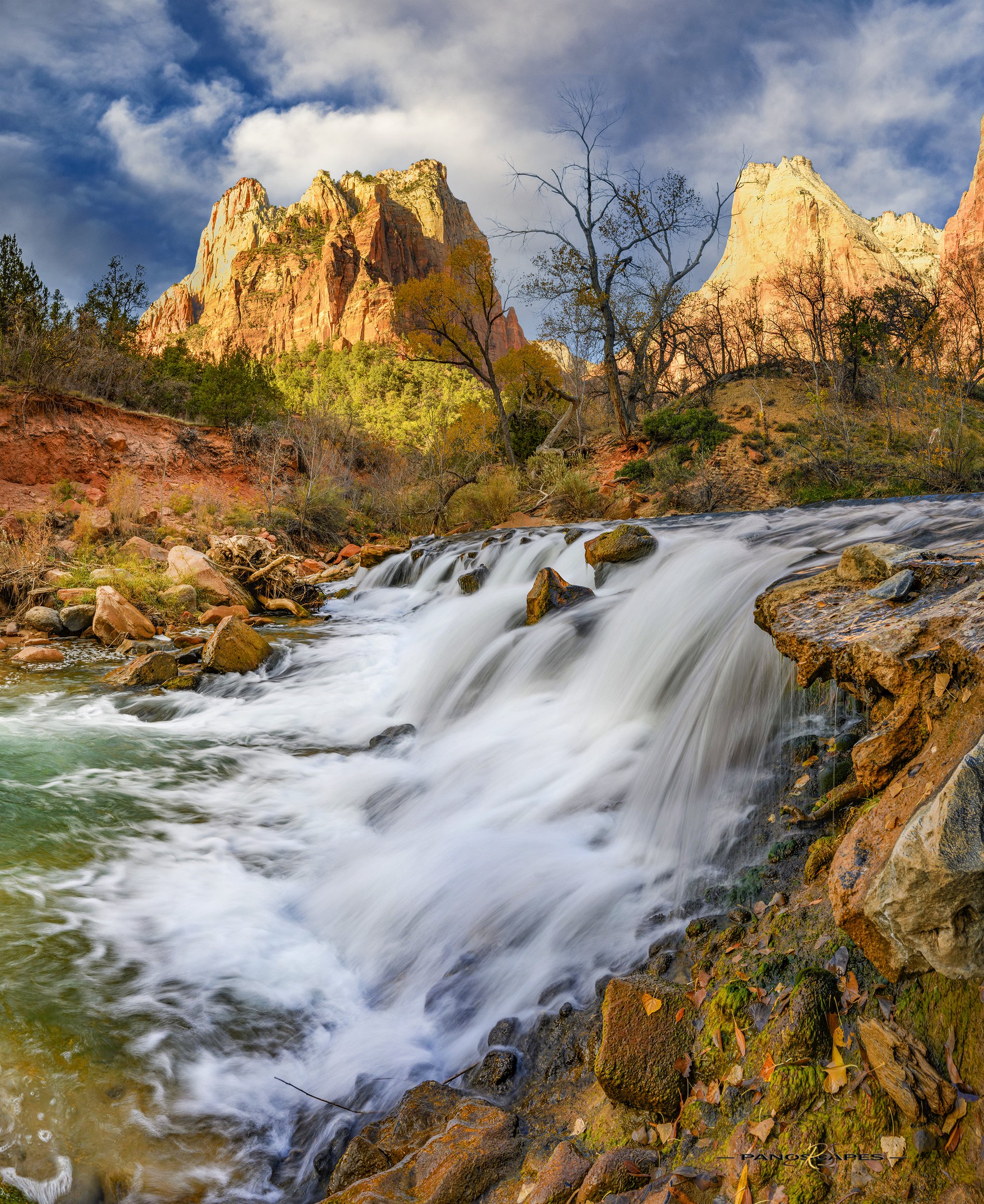 The Sentinel at Sunrise, Zion by Edwin R Schottstaedt 