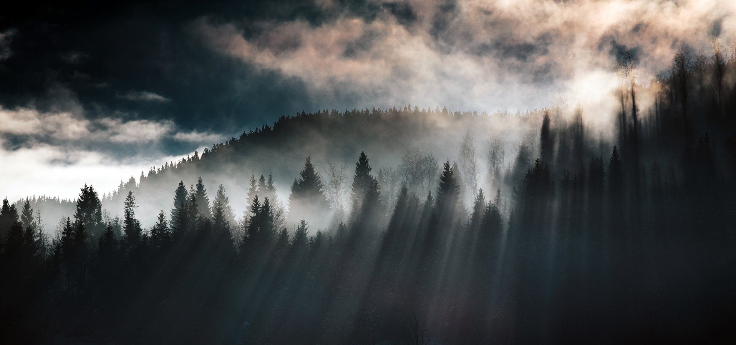 Shine on Thru by Utah Print Vault
