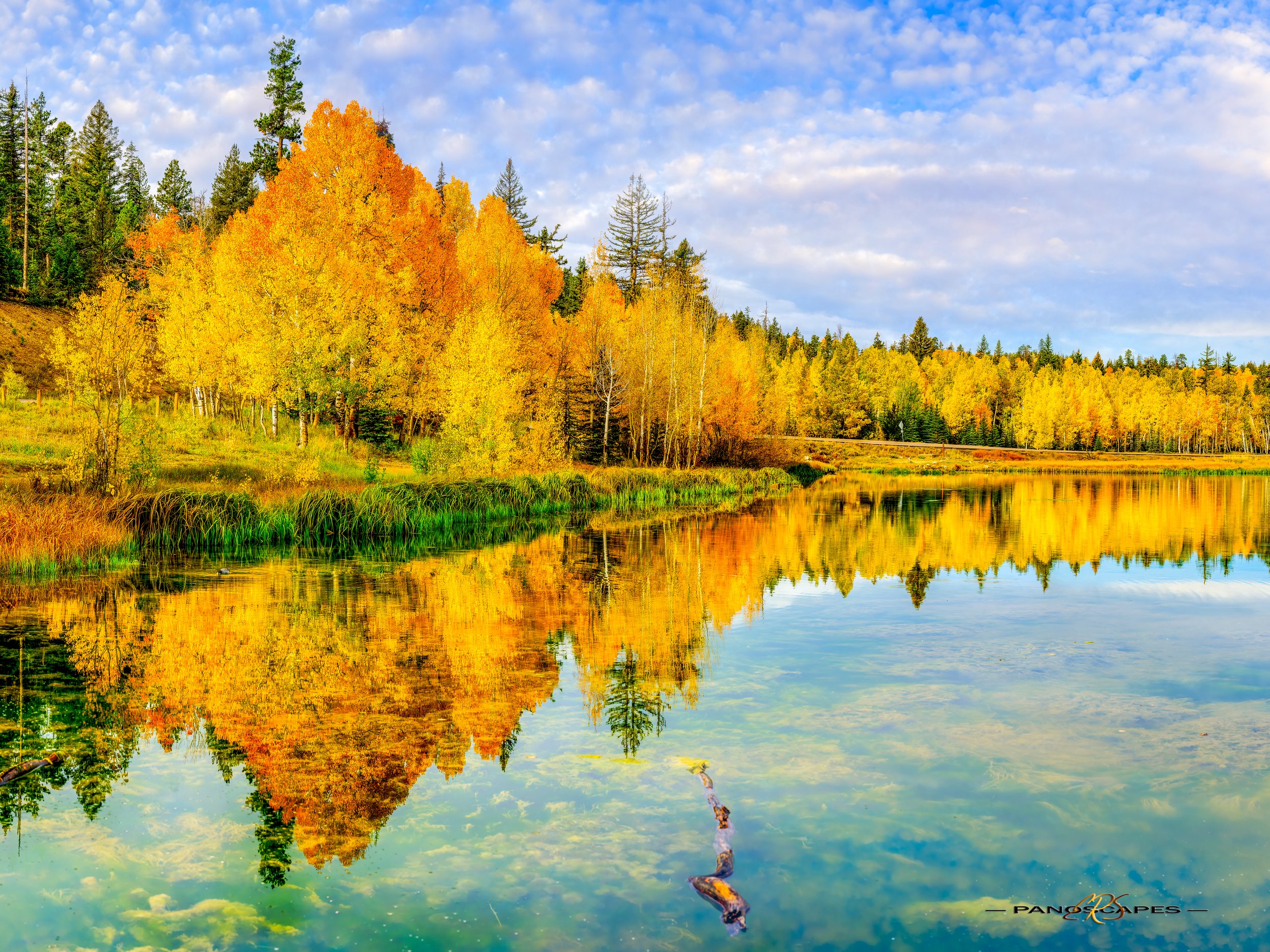Duck Creek Fall Reflection by Edwin R Schottstaedt 