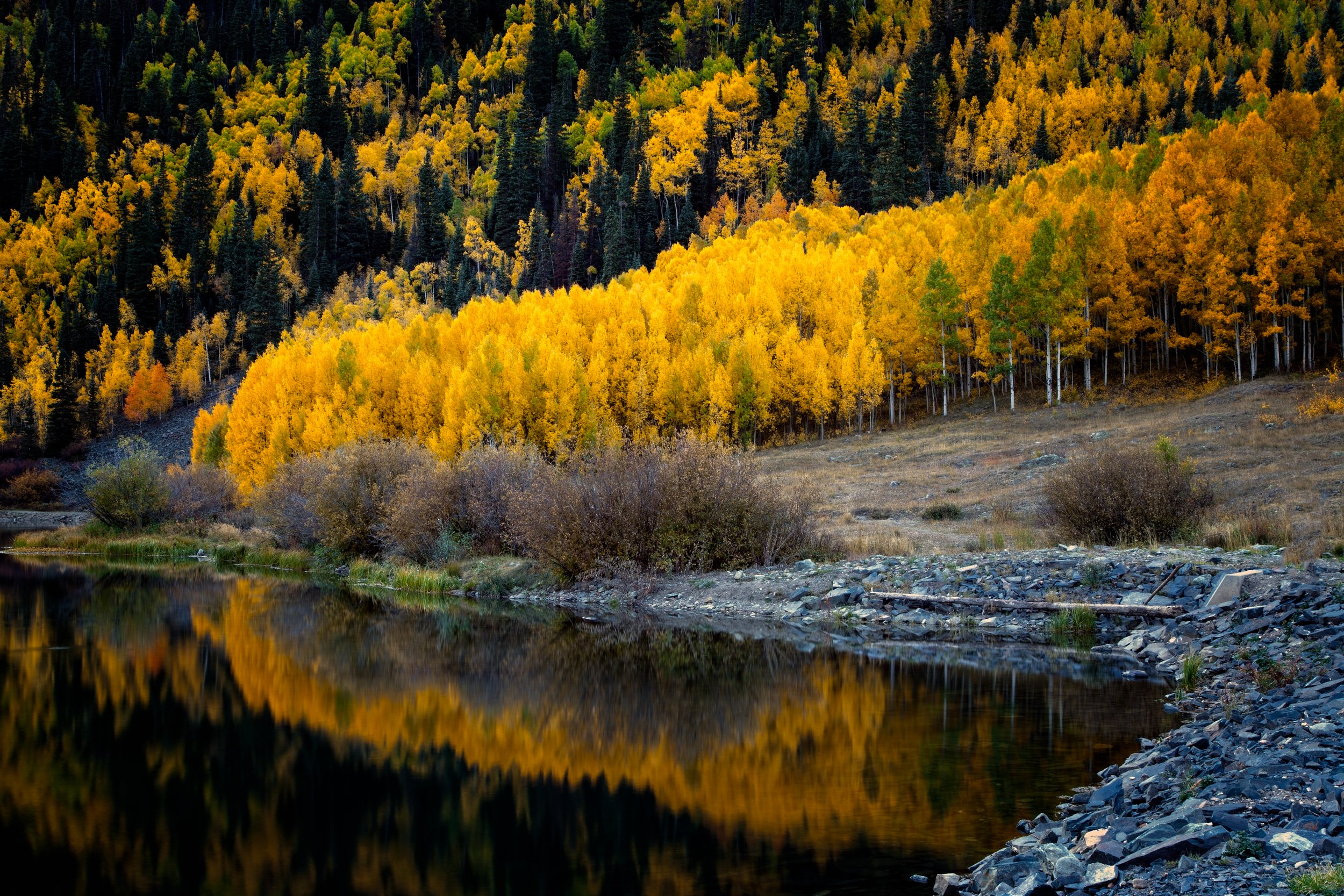 Reflective Aspens 1 by Bob Coorsen Photography