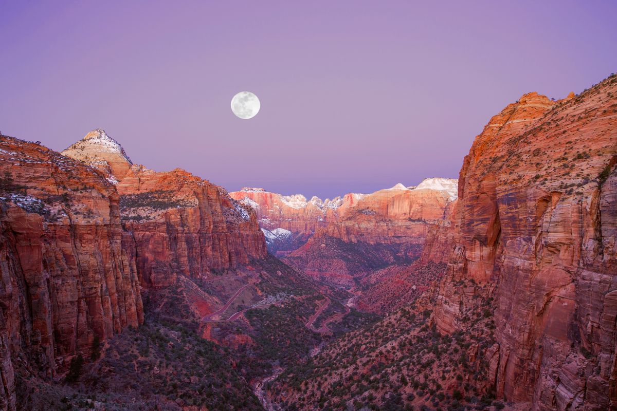 Zion's Moonshine