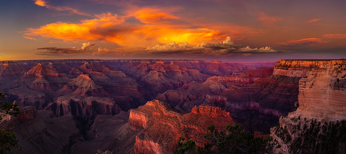 Grand Canyons Depths by Utah Print Vault