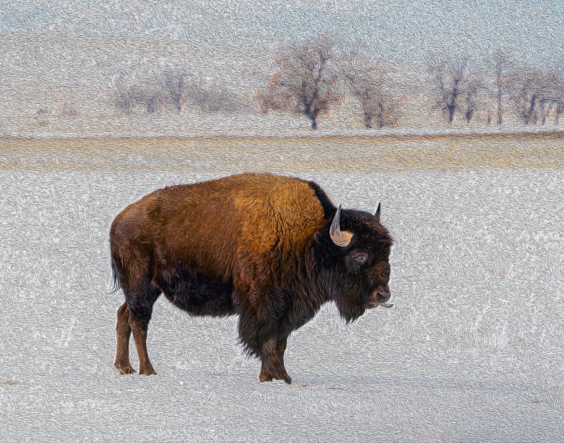 I Stand Alone 1 by Bob Coorsen Photography
