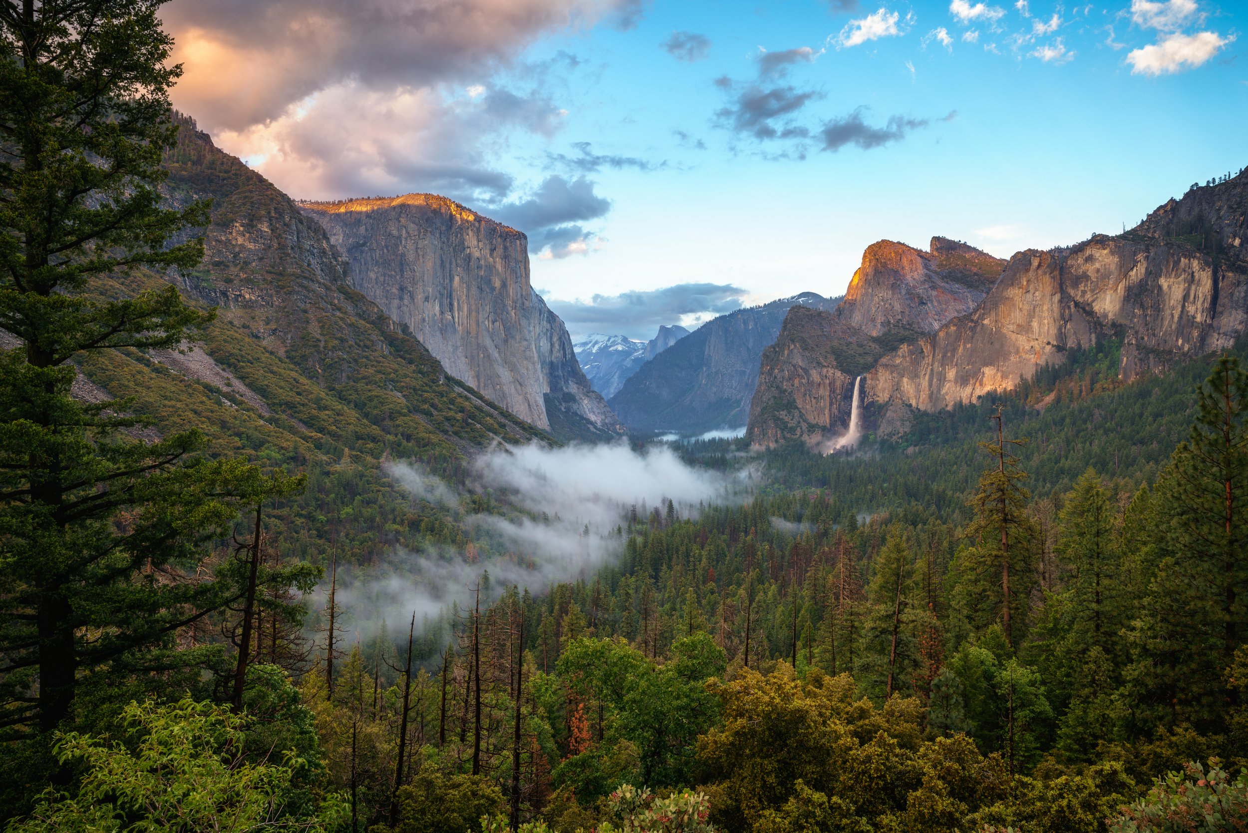 Yosemite Mist by Utah Print Vault