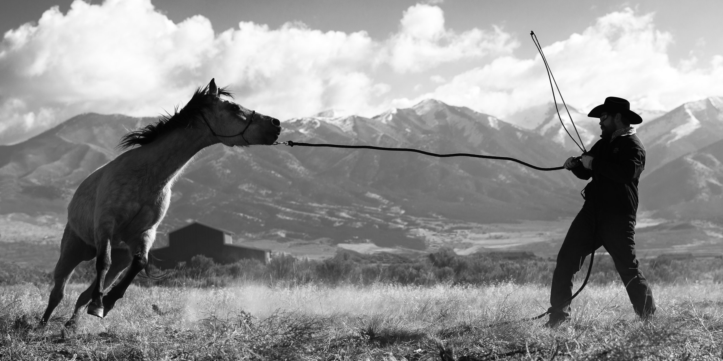 Stormy by Clay Cammack Photography