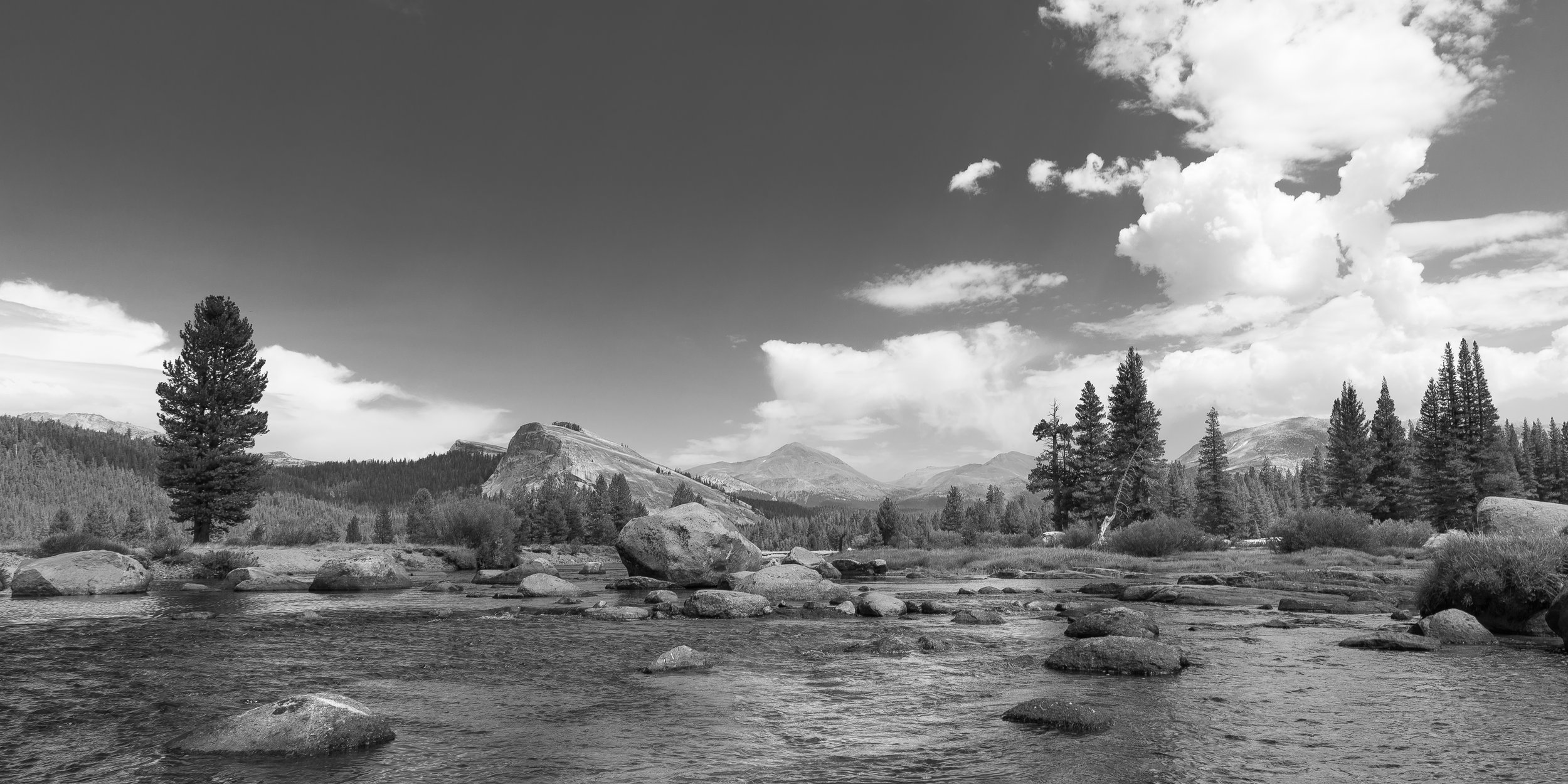Tuolumne Meadow by Clay Cammack Photography