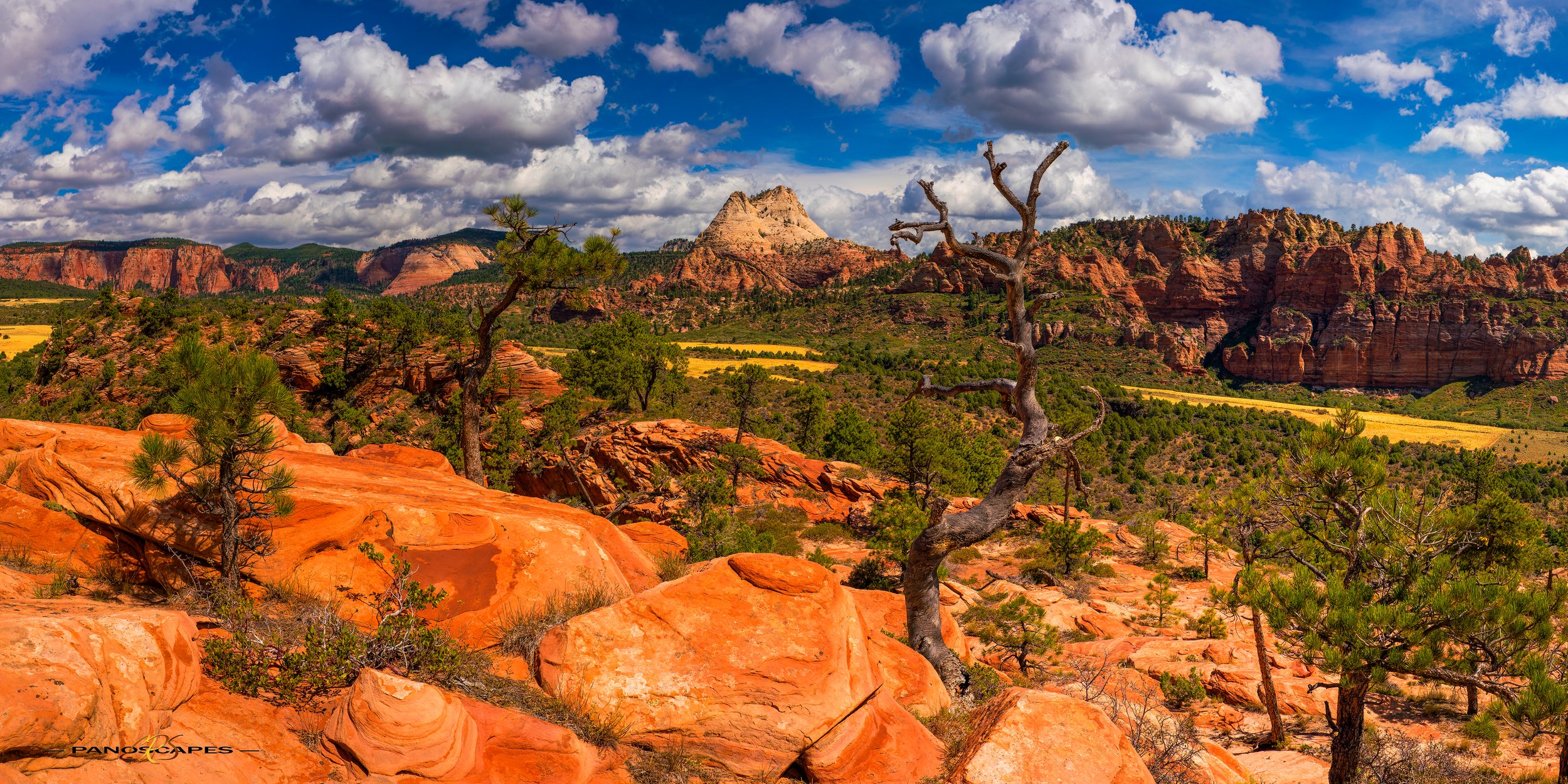 Guardian of the Valley by Edwin R Schottstaedt 