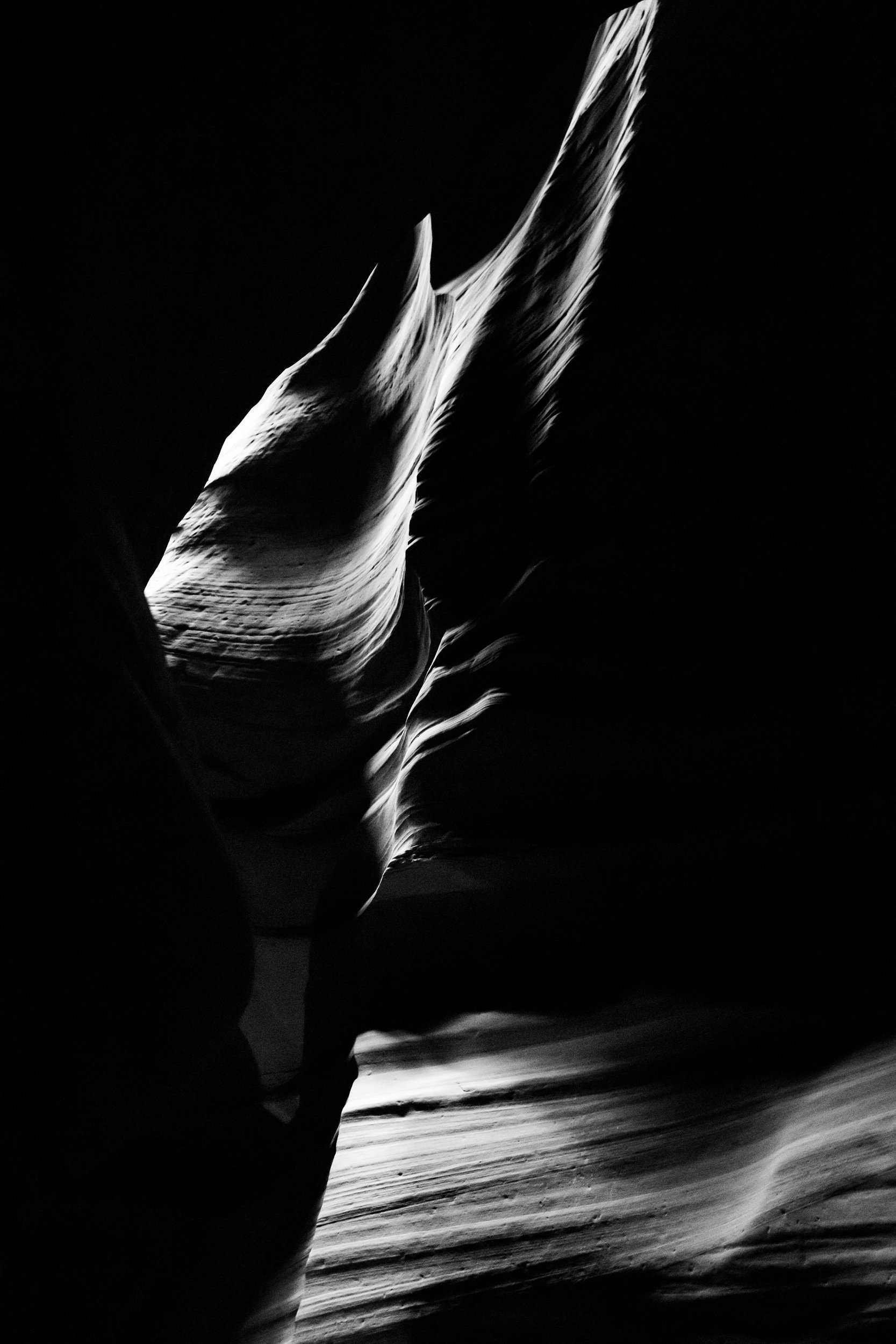 Sphynx by Stacy Cox Photography