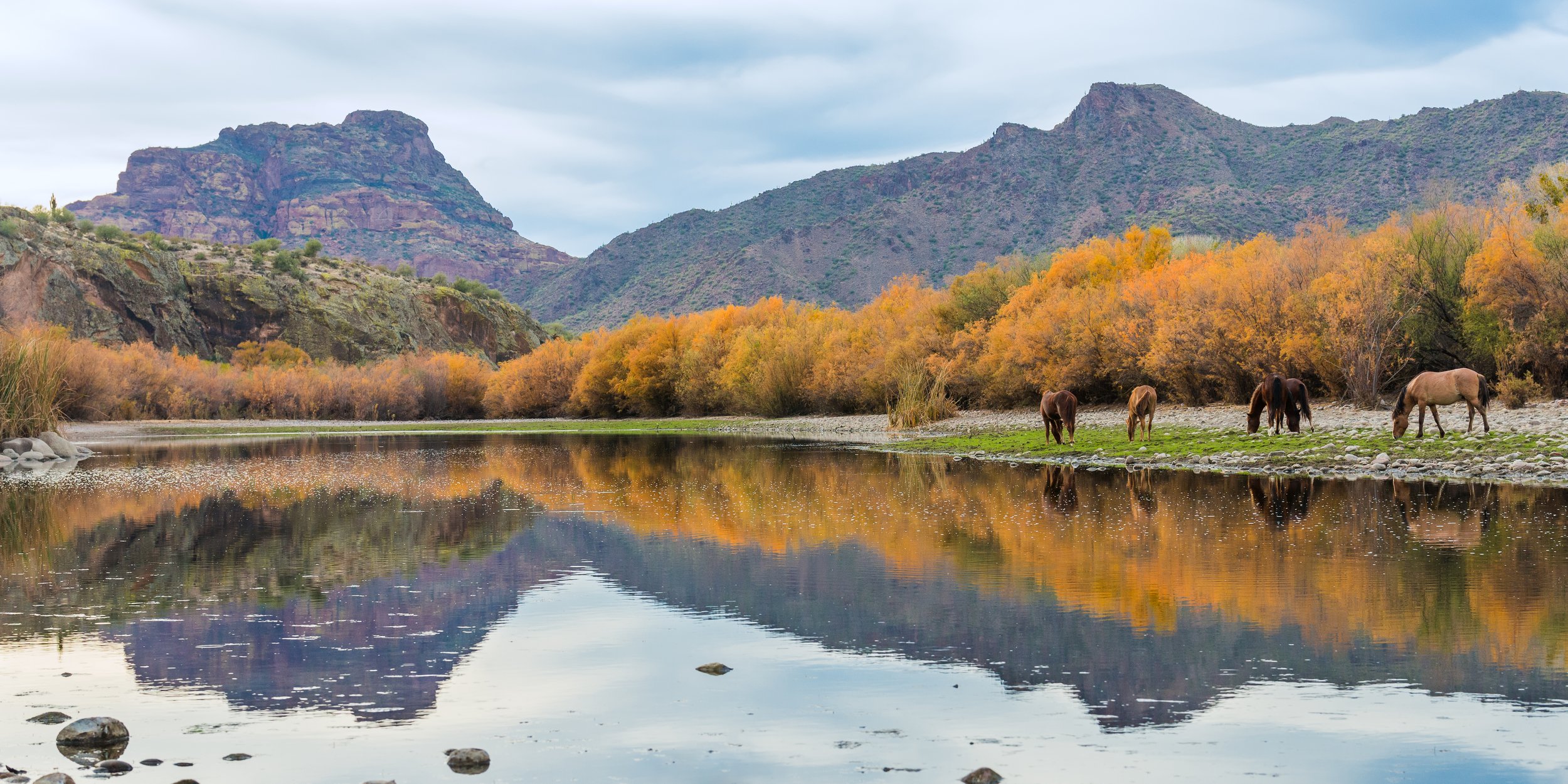 Reflections on the Salt River by Clay Cammack Photography
