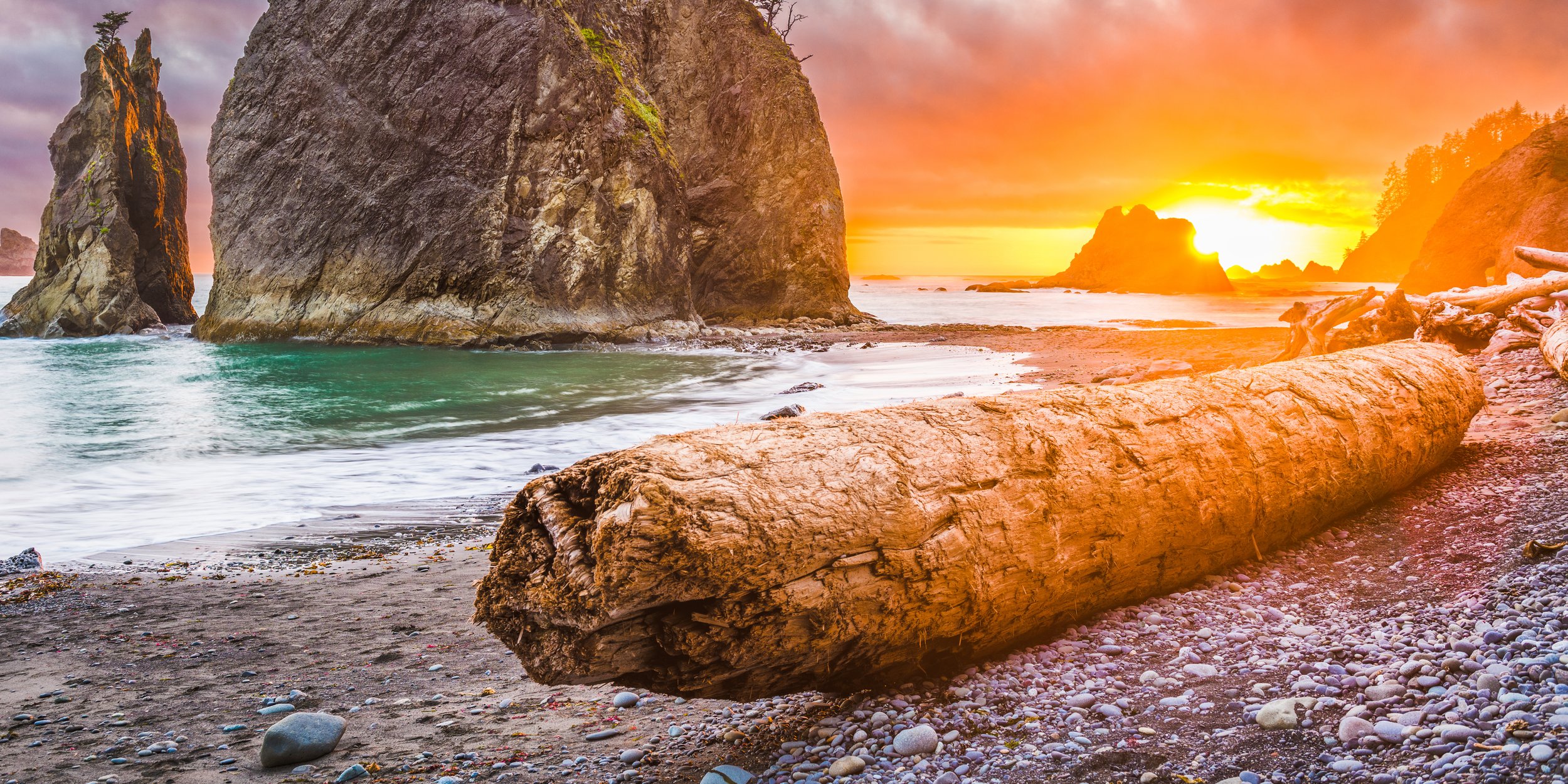 Log Beach by Utah Print Vault