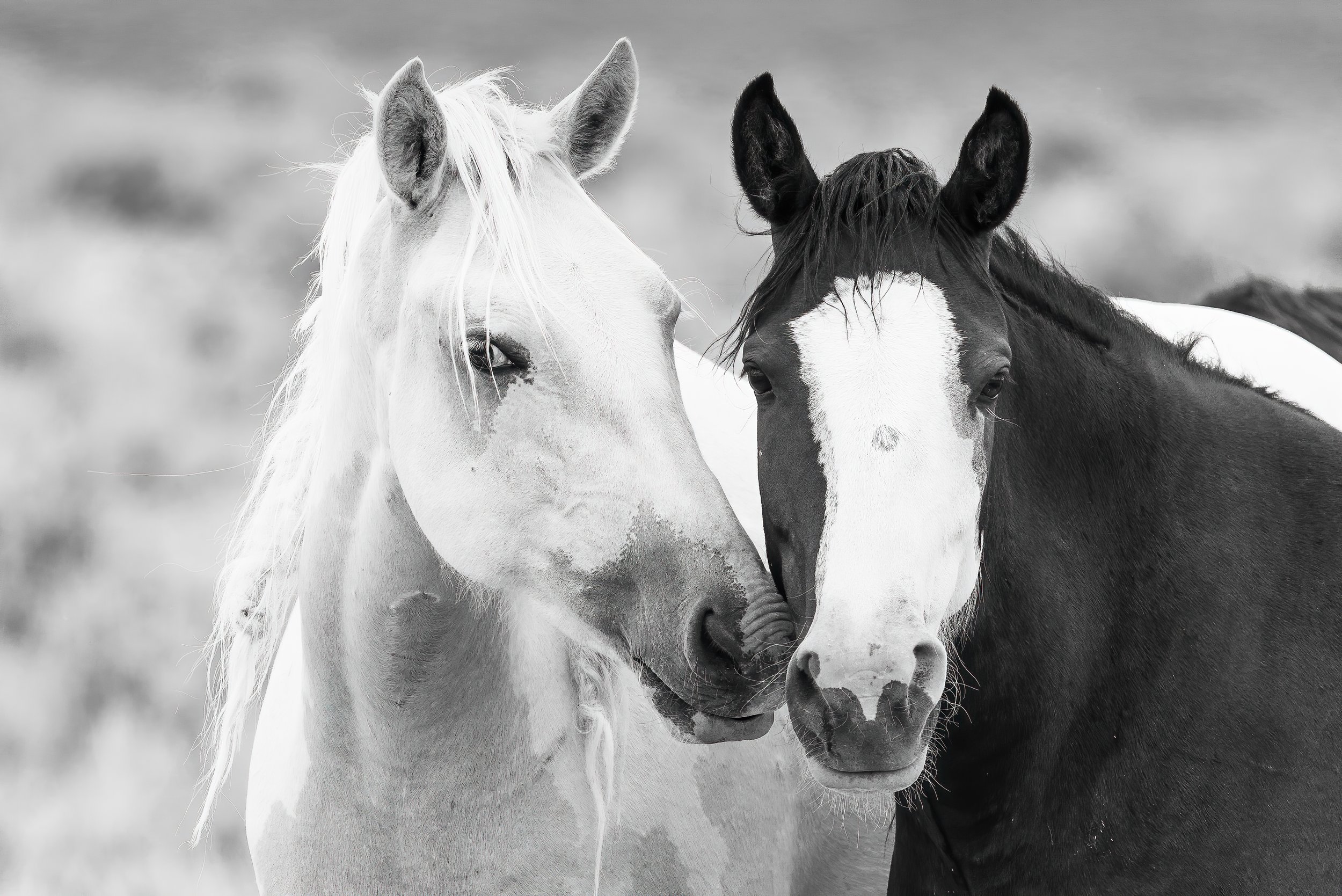 Snuggles in the Sandwash by Clay Cammack Photography