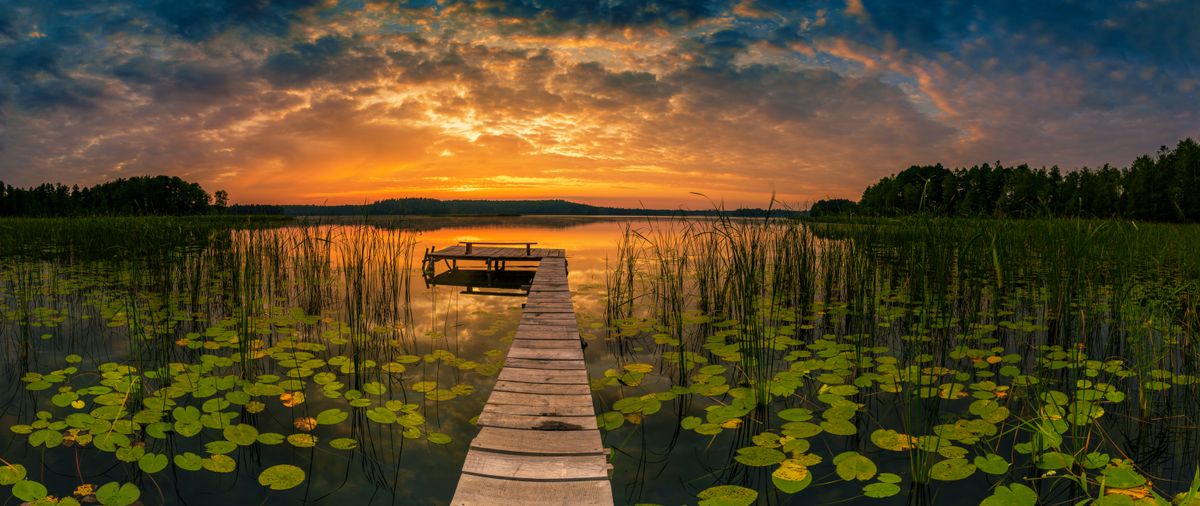 Lillie's Sunset by Pure Art Demo Gallery