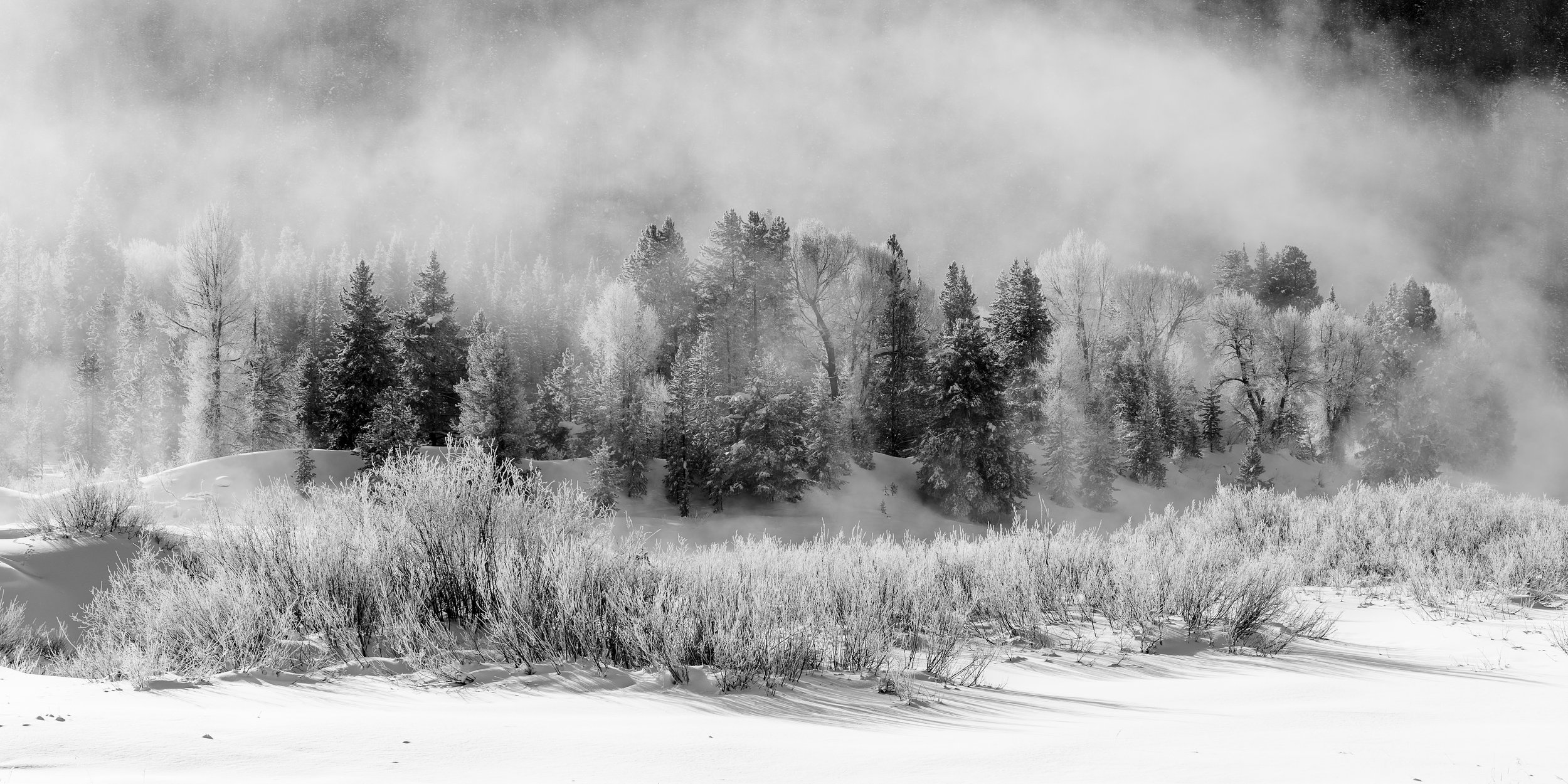 Fog Above the Snake River by Clay Cammack Photography