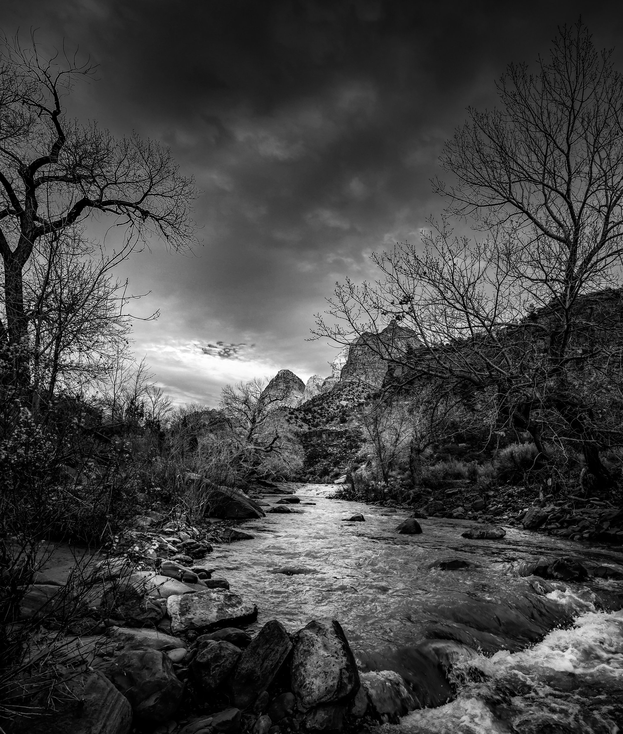 Zion6 creek by Lar's Photos