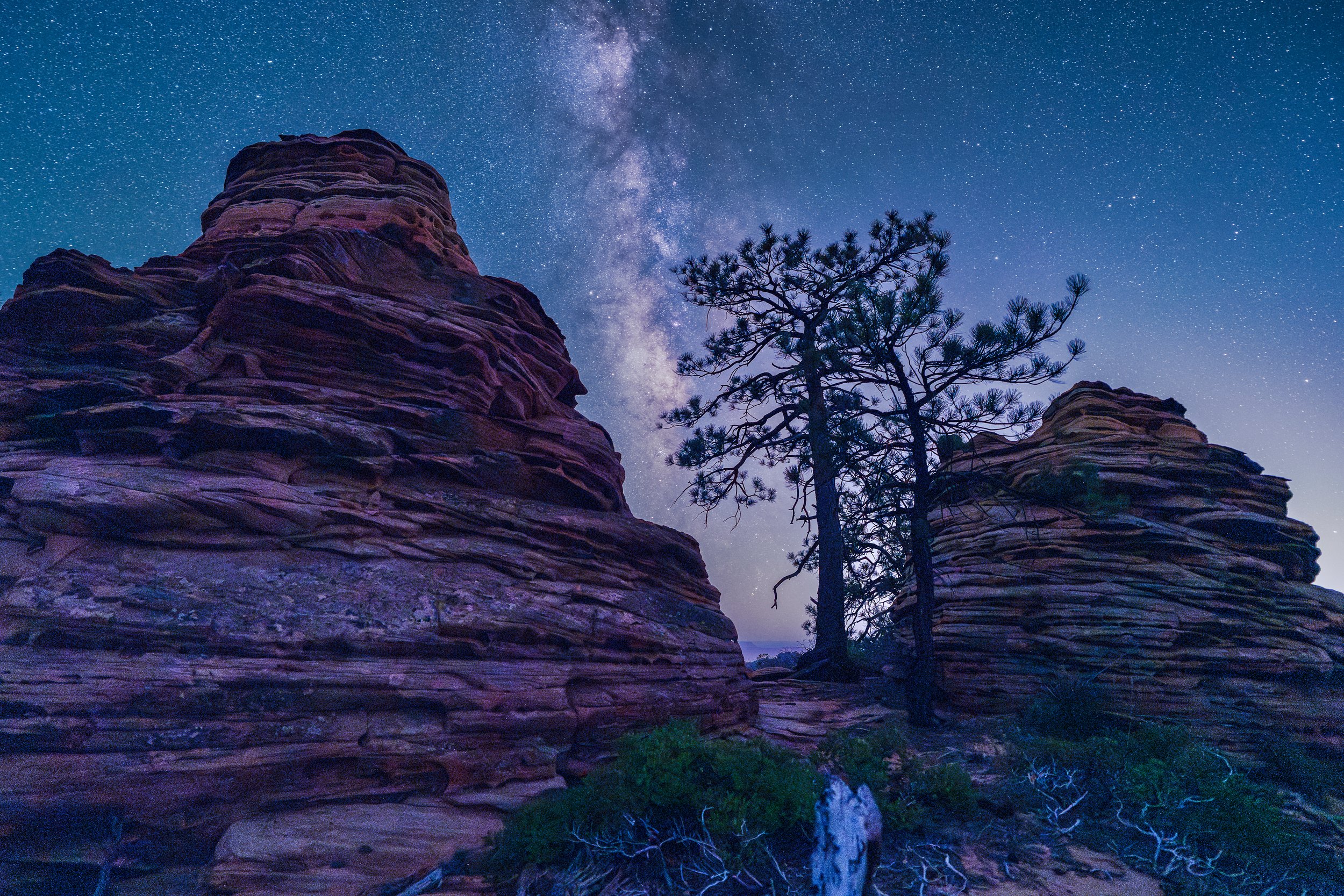 Milky Way Beehives by ZCC Photography