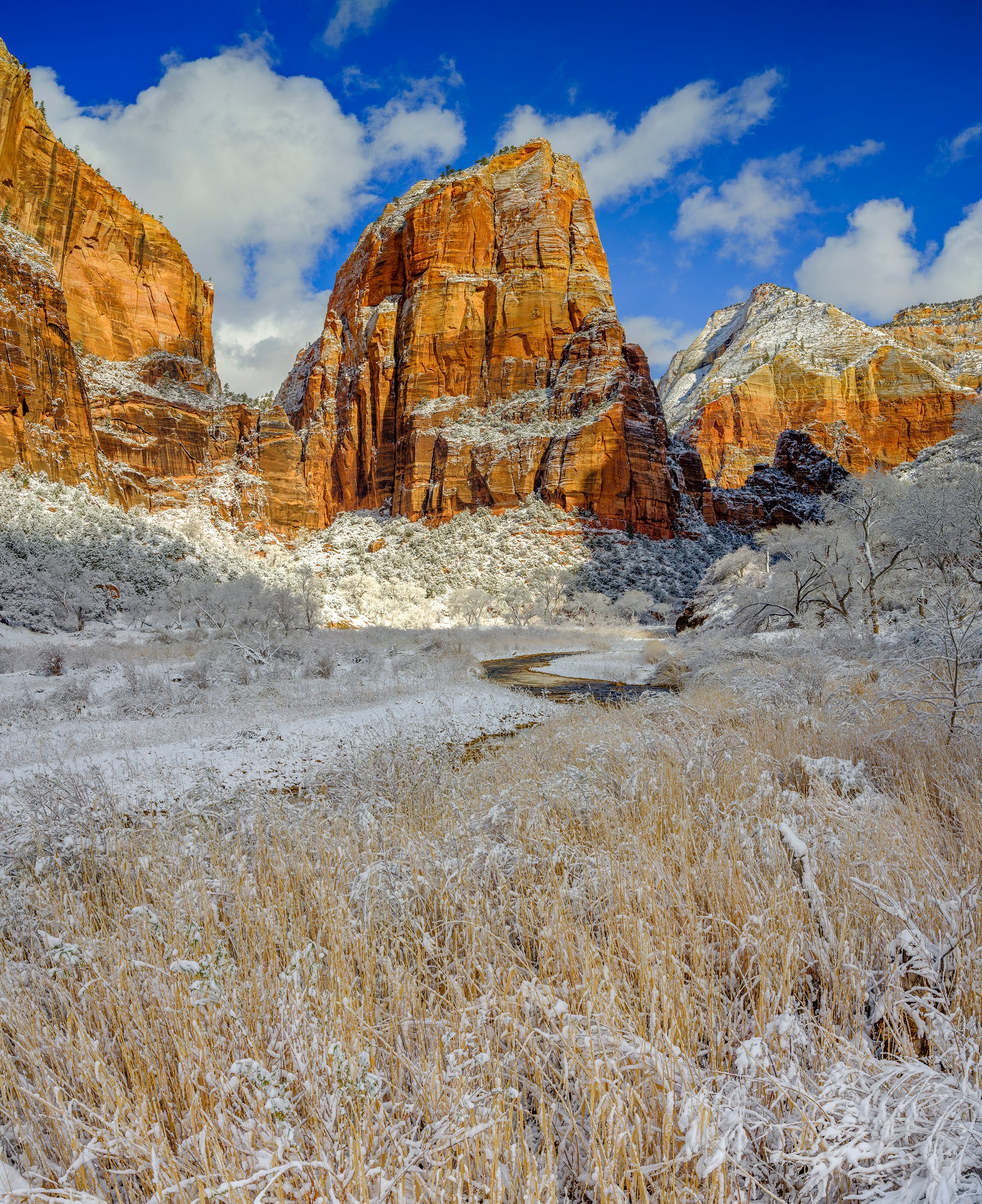 zion by Edwin R Schottstaedt 